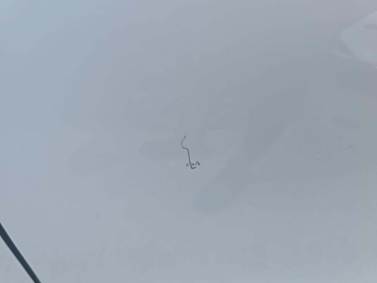 2022 Mercedes-Benz GLC GLC 300 AWD