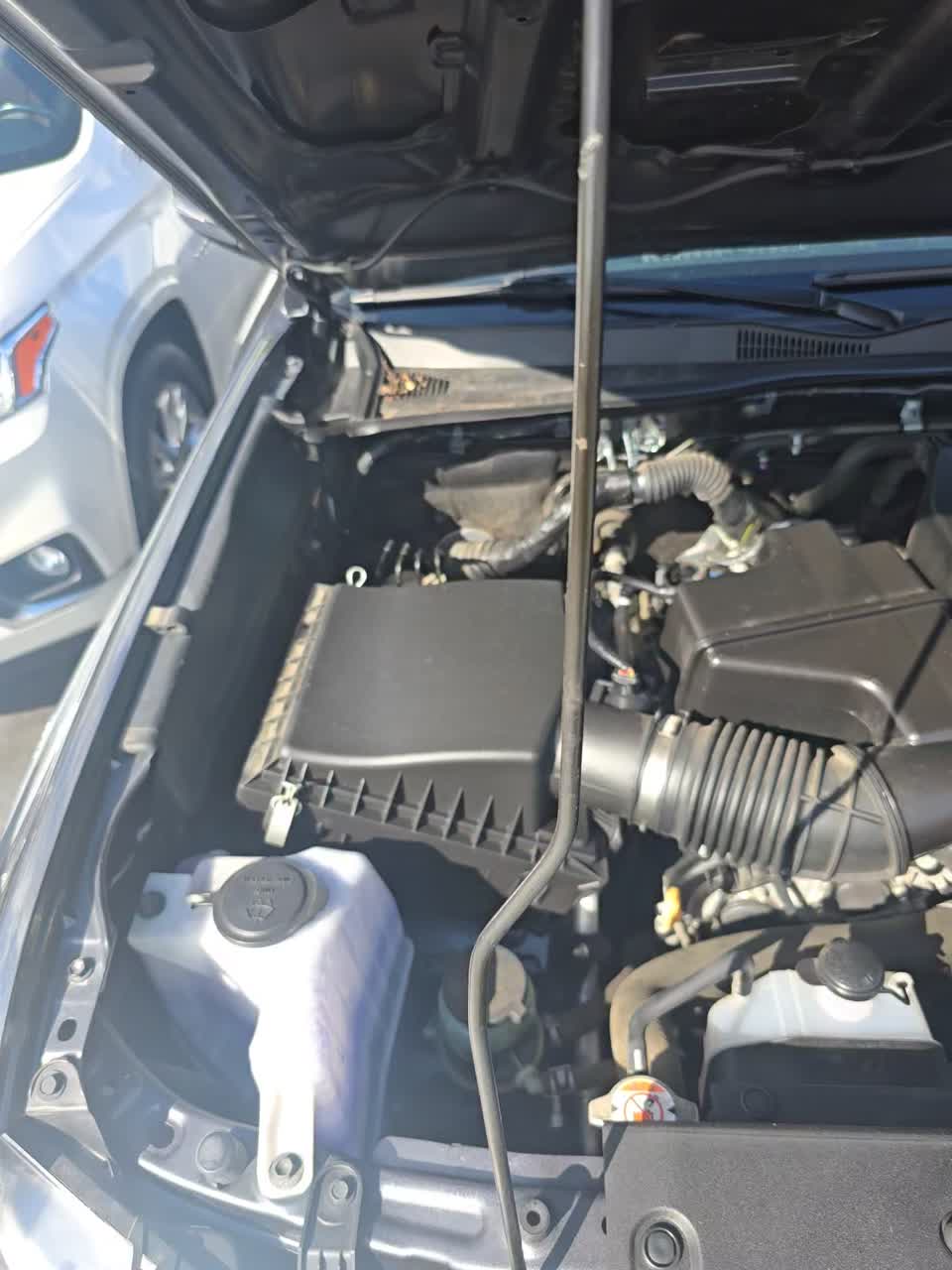 2022 Toyota Tacoma TRD Sport RWD