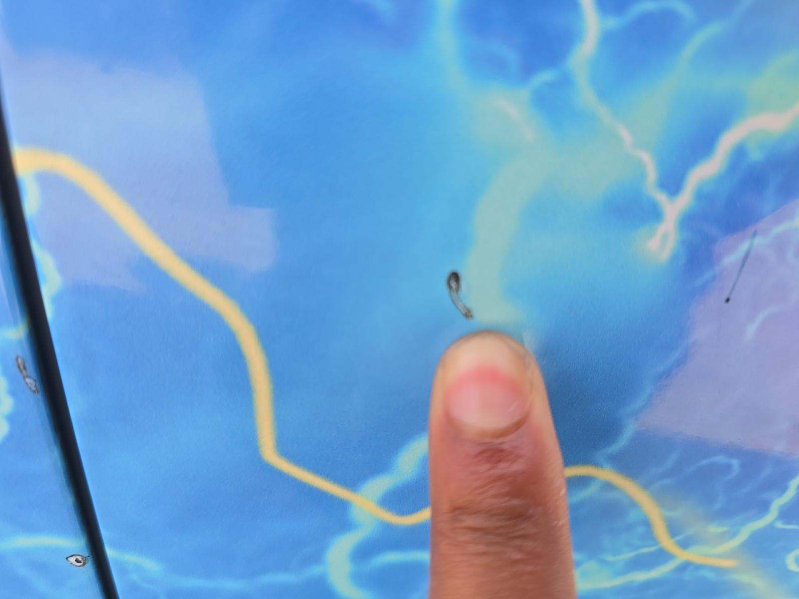 2020 Mercedes-Benz GLE GLE 350 AWD