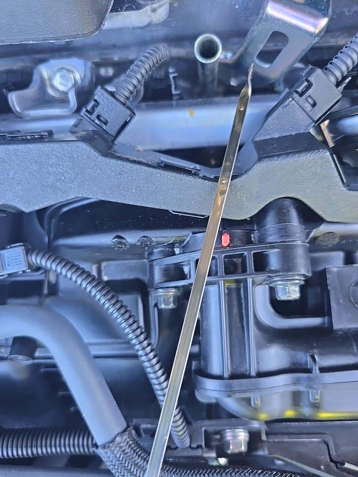 2025 Toyota Sienna XLE FWD