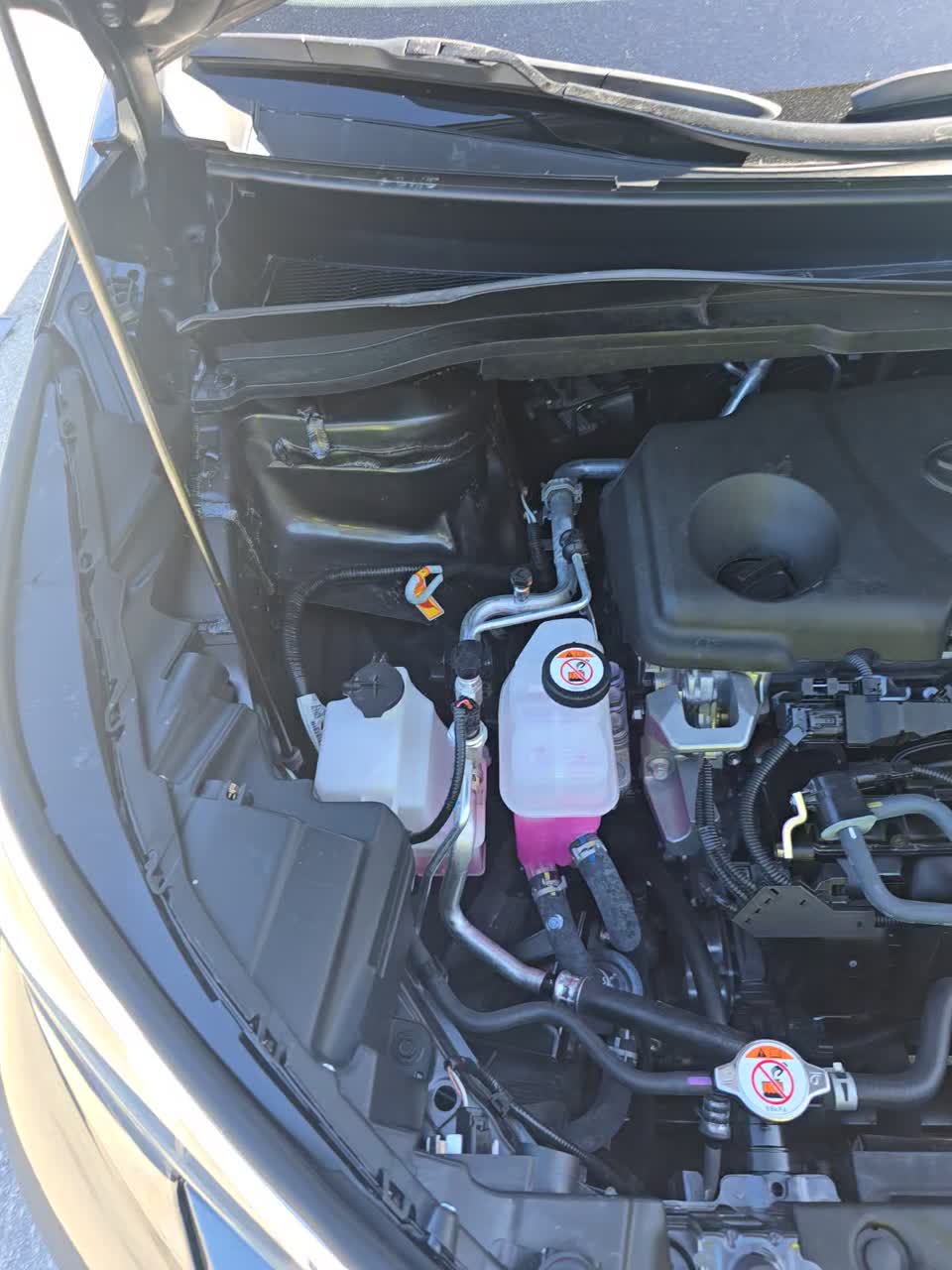 2025 Toyota Sienna XLE FWD