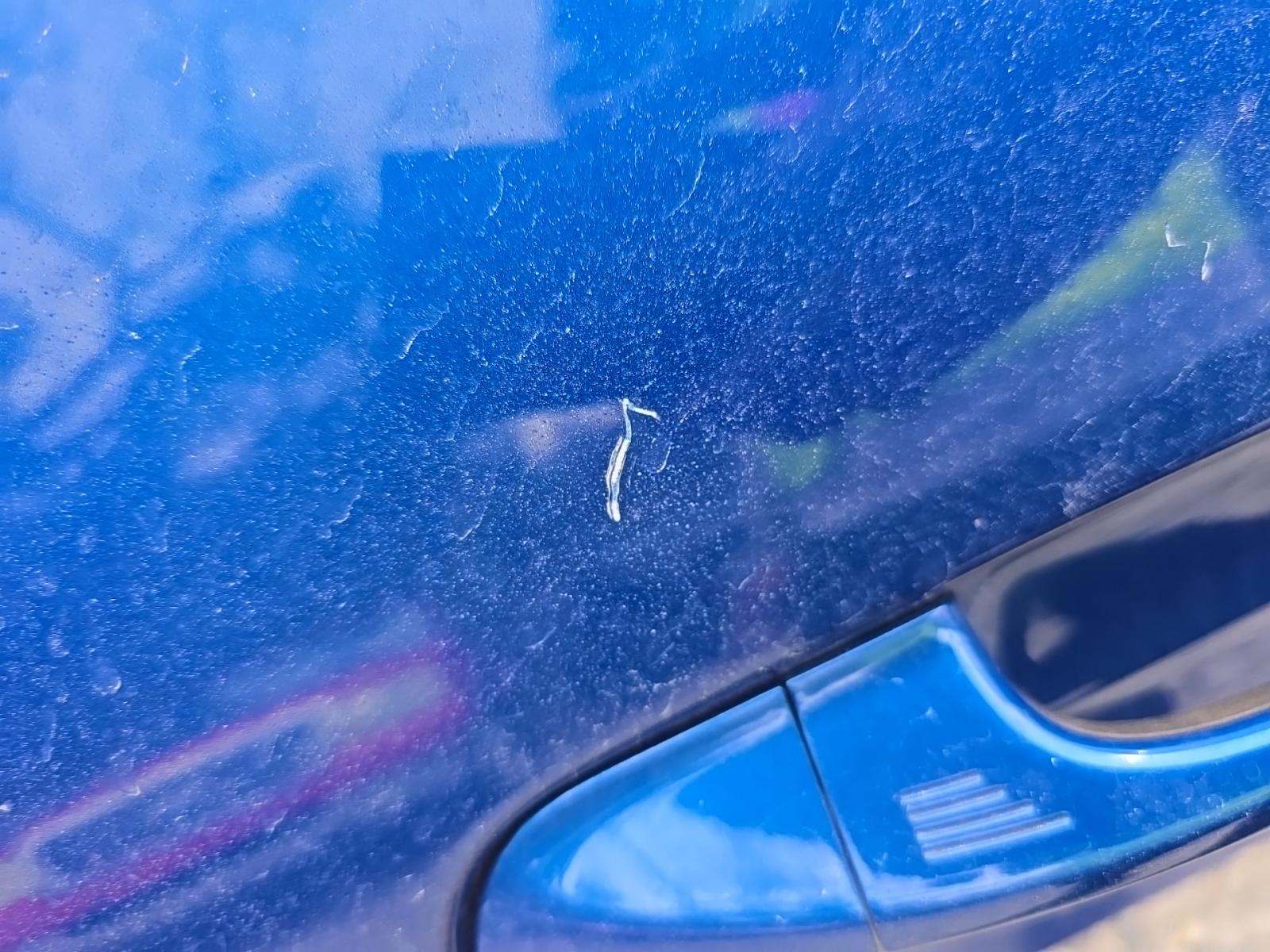 2017 Ford Mustang GT Premium RWD