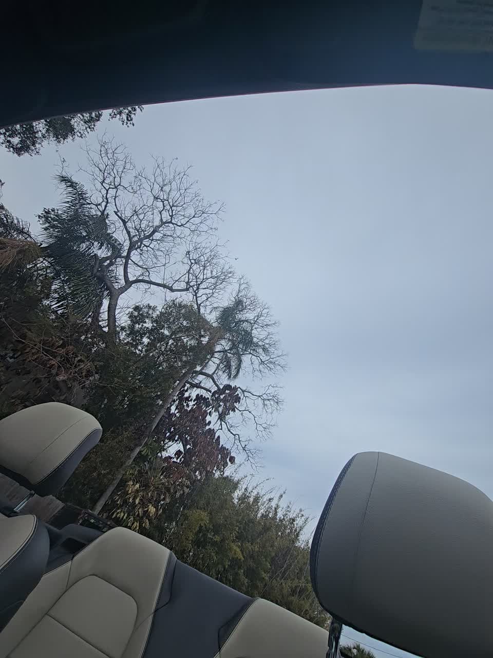 2017 Ford Mustang GT Premium RWD