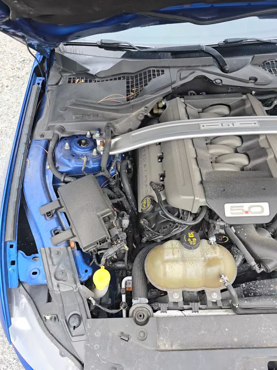 2017 Ford Mustang GT Premium RWD