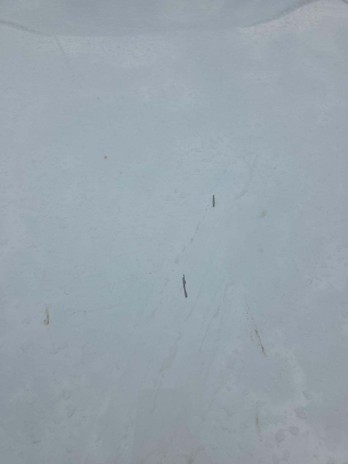 2025 BMW X5 xDrive50e AWD