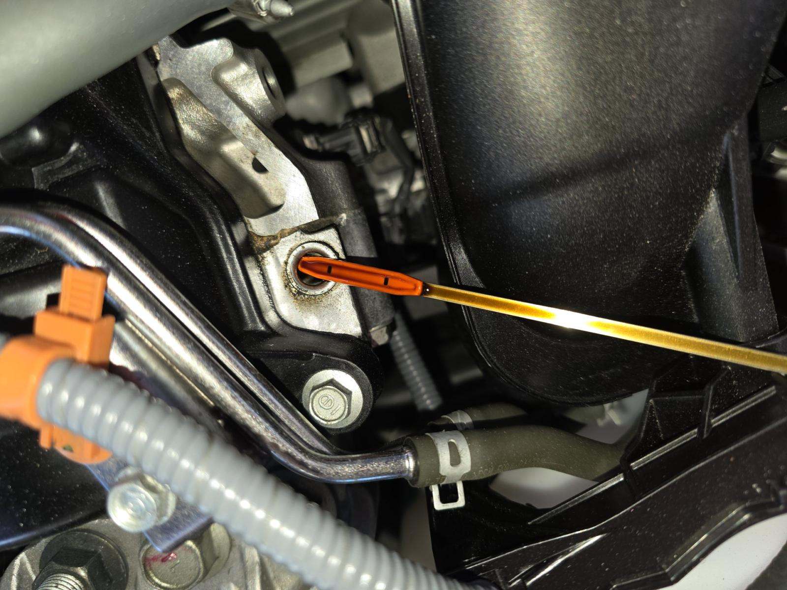 2022 Honda Civic Sport Touring FWD