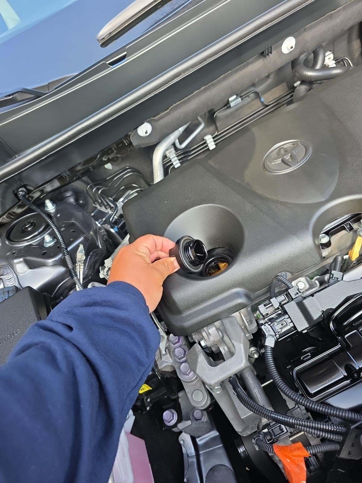 2025 Toyota RAV4 XLE FWD