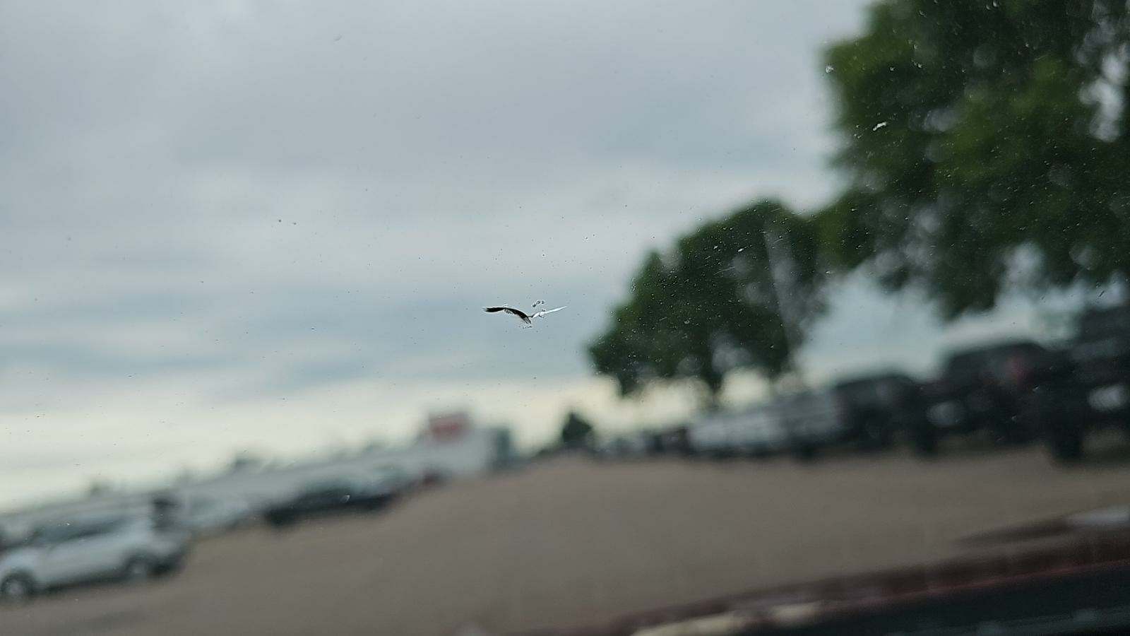 2019 Lincoln Nautilus Reserve AWD