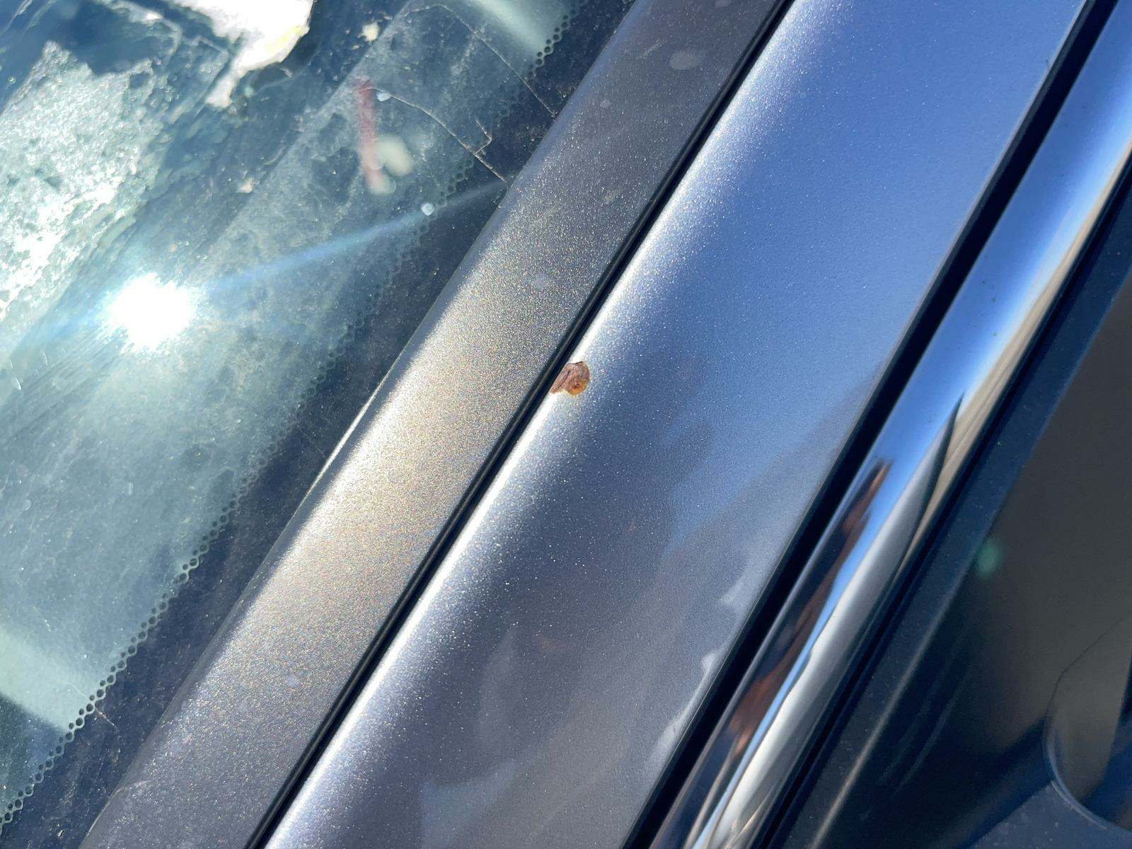 2020 Honda Accord 4D SEDAN FWD