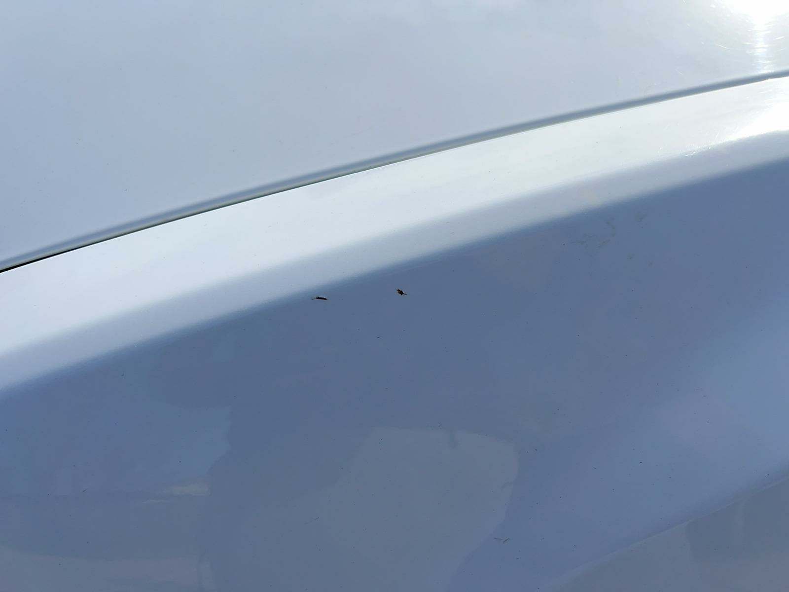 2019 Chrysler 300 300S RWD