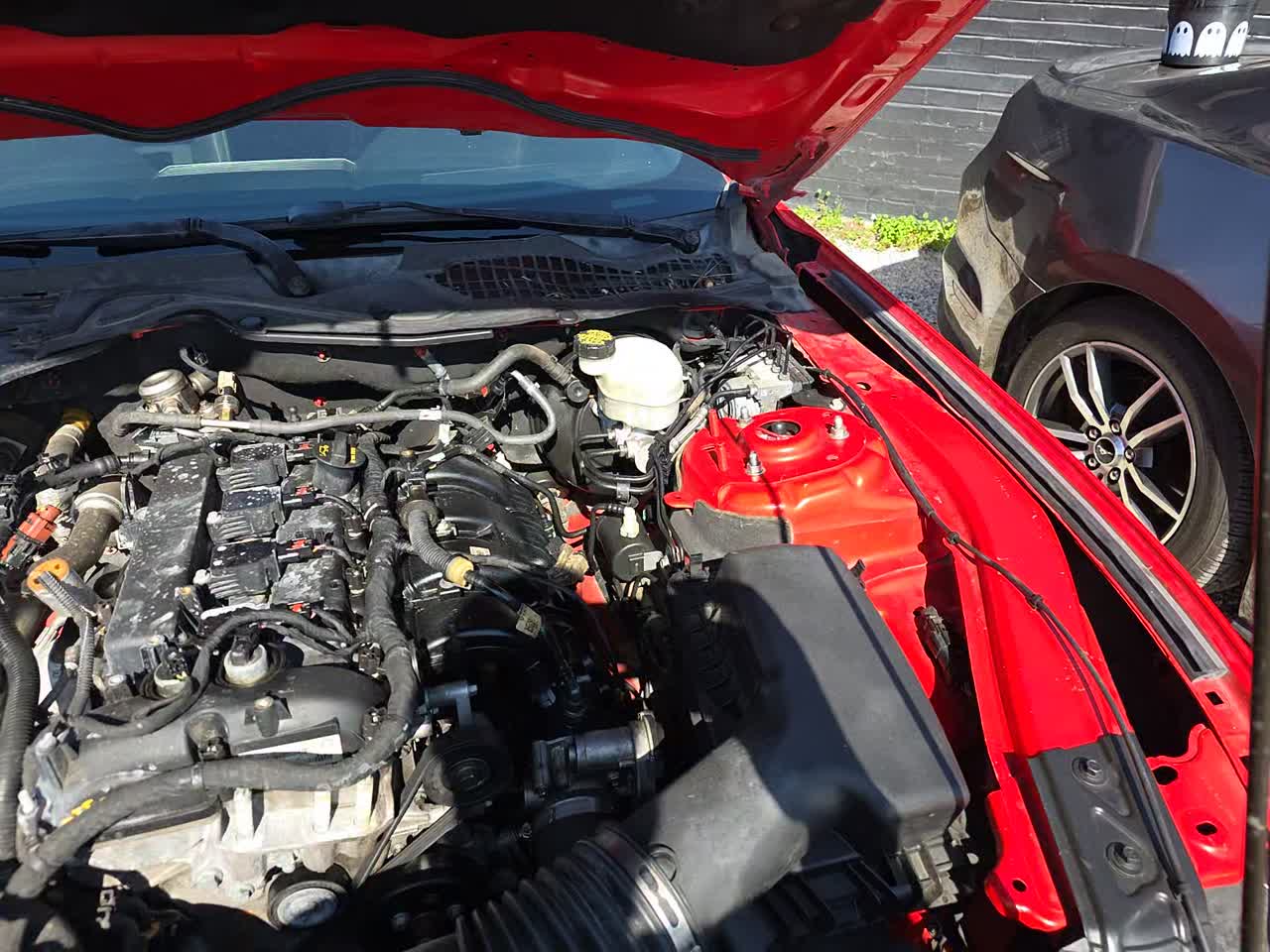 2016 Ford Mustang EcoBoost RWD
