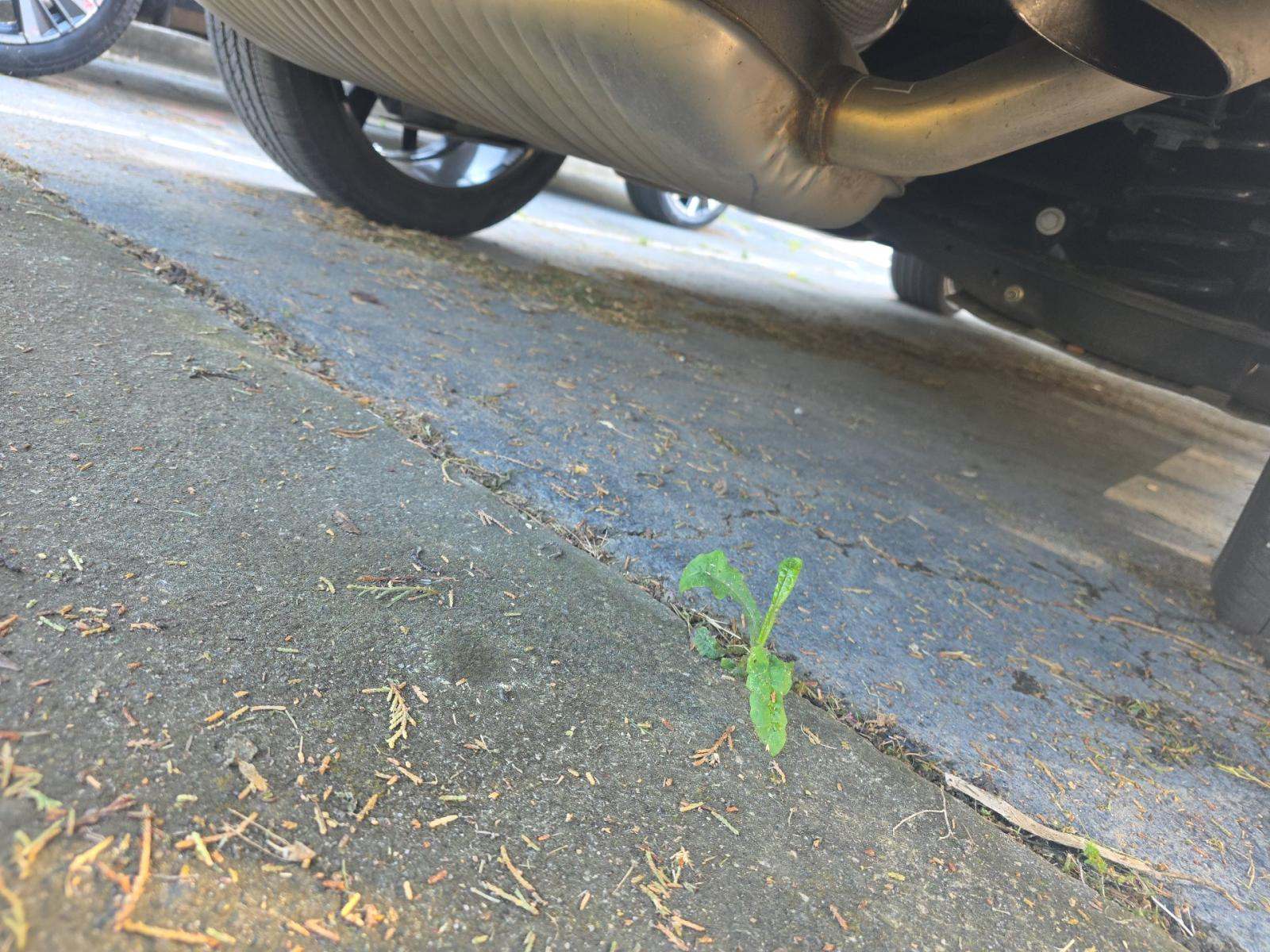 2025 Volkswagen Atlas 2.0T SEL Premium R-Line AWD