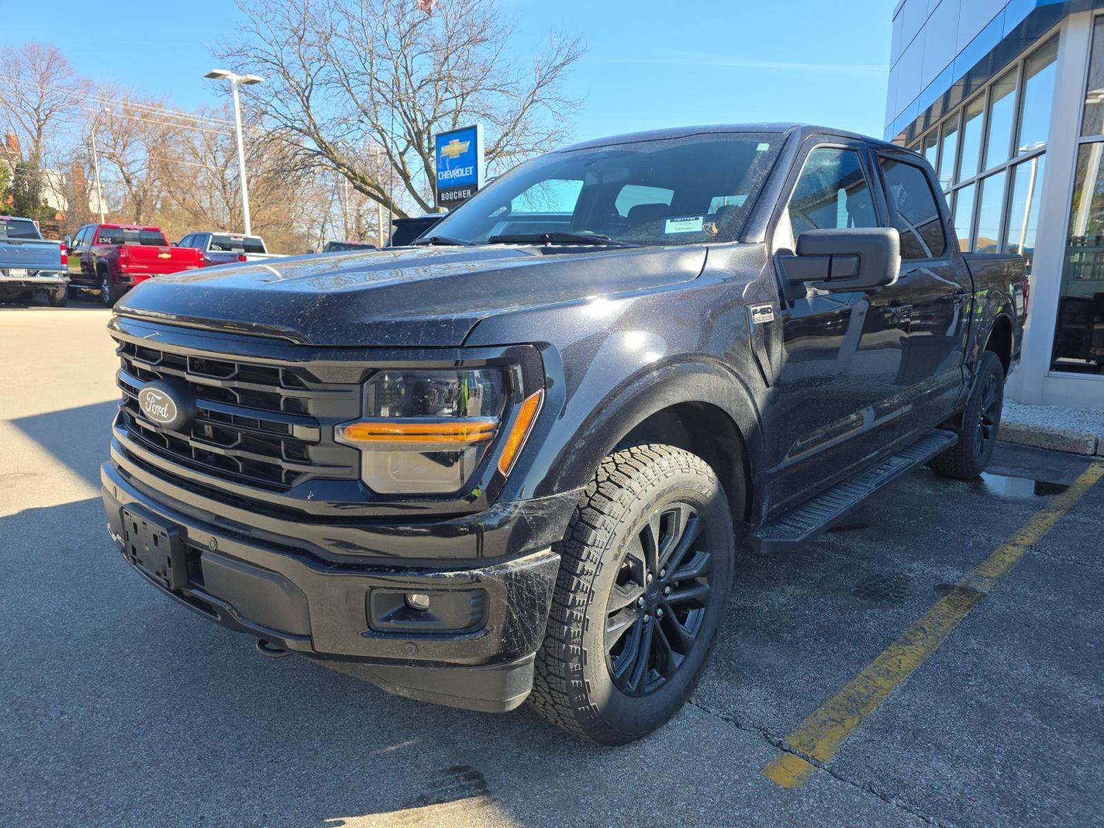 FORD F-150 - 1