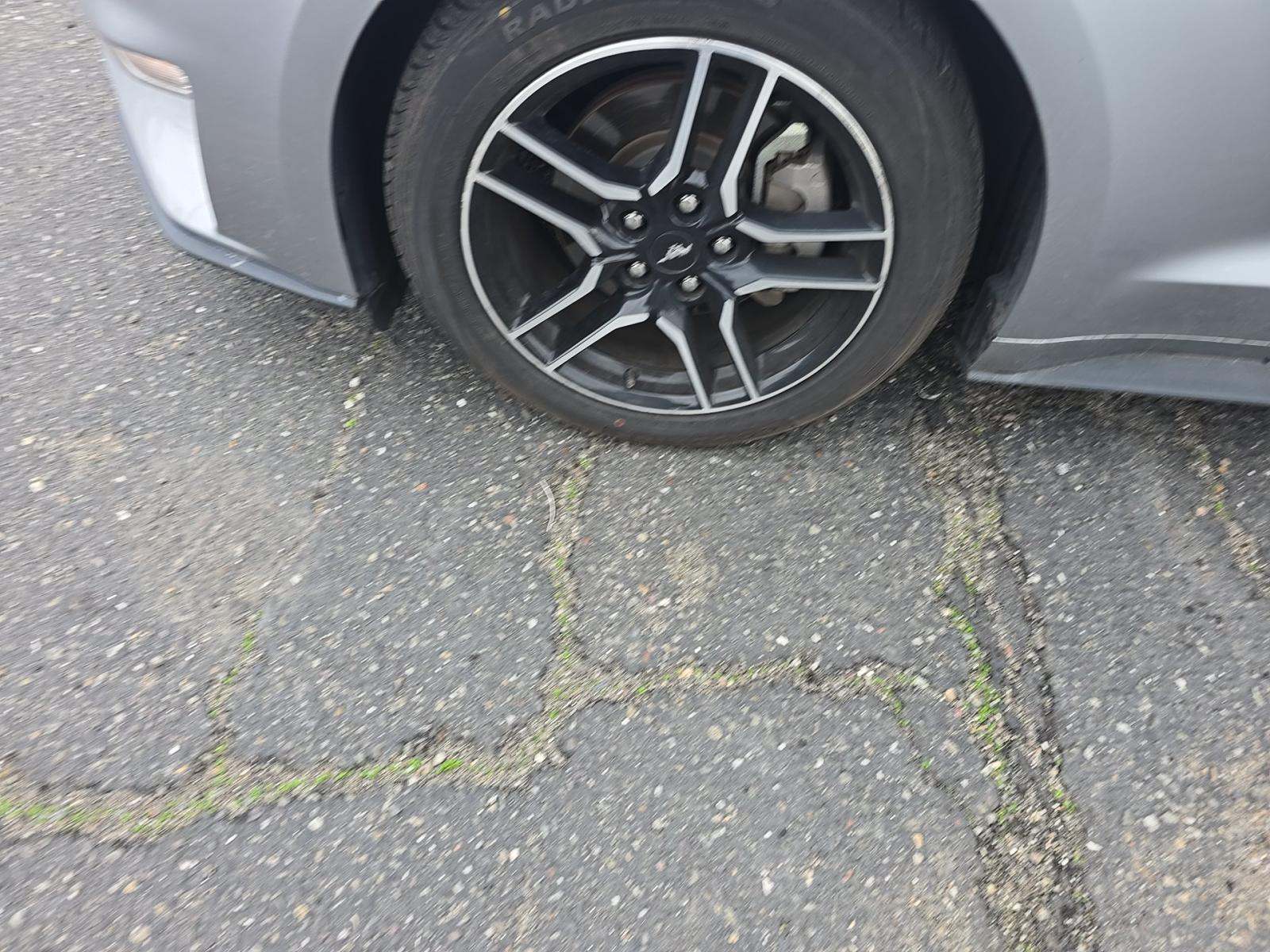 2023 Ford Mustang EcoBoost Premium RWD