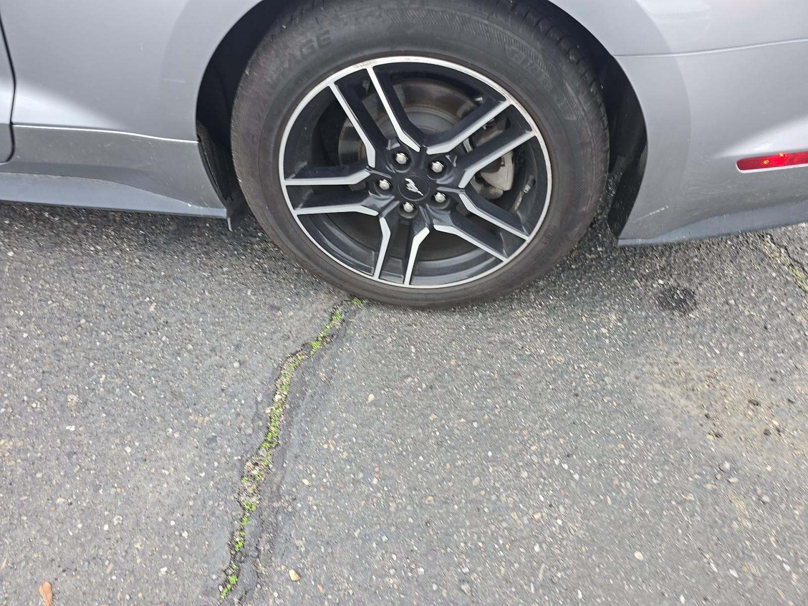 2023 Ford Mustang EcoBoost Premium RWD