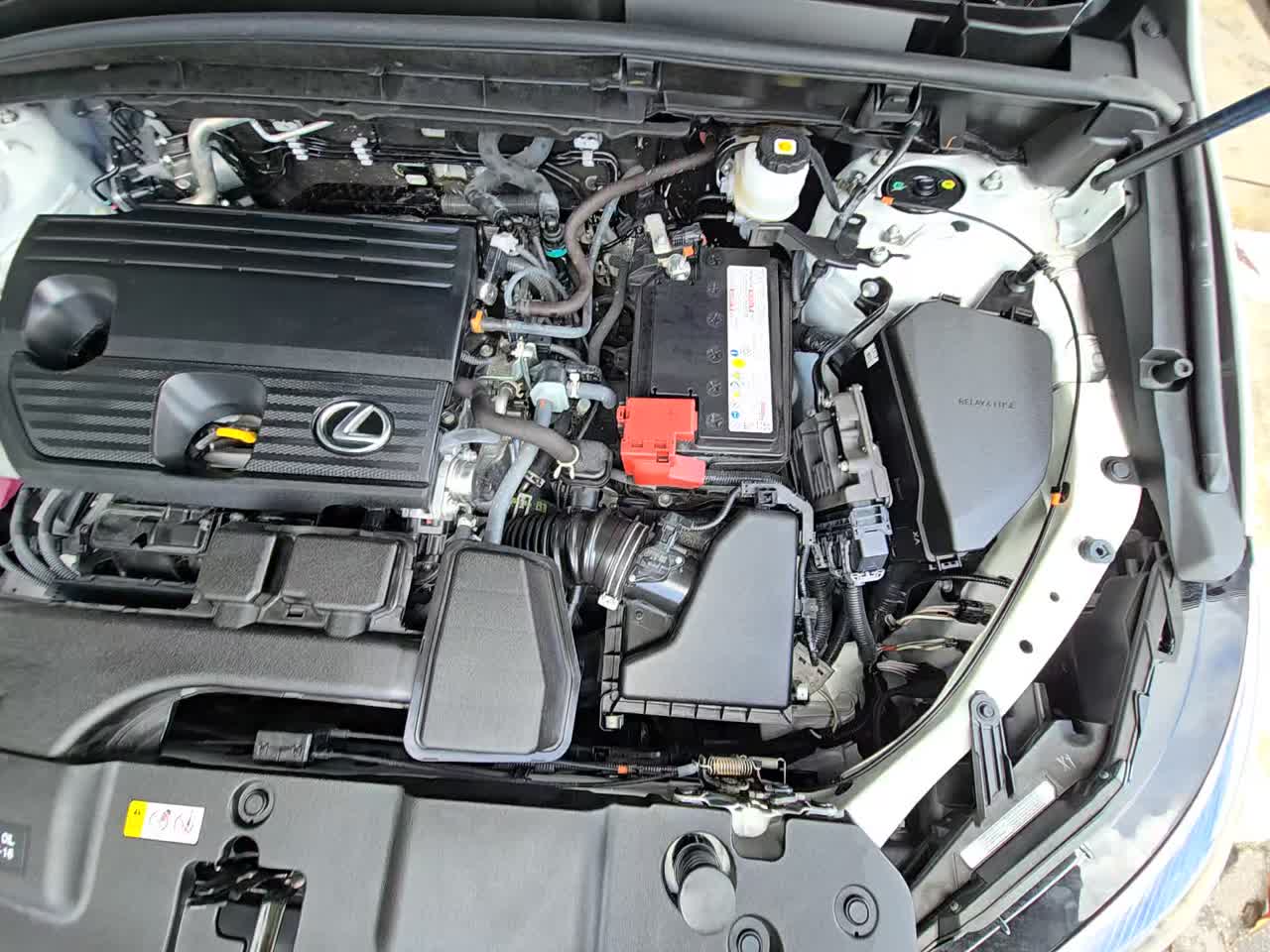 2024 Lexus NX NX 250 Premium FWD