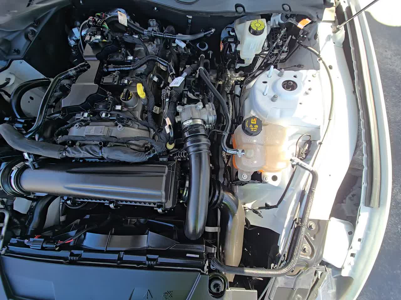 2024 Ford Mustang EcoBoost RWD