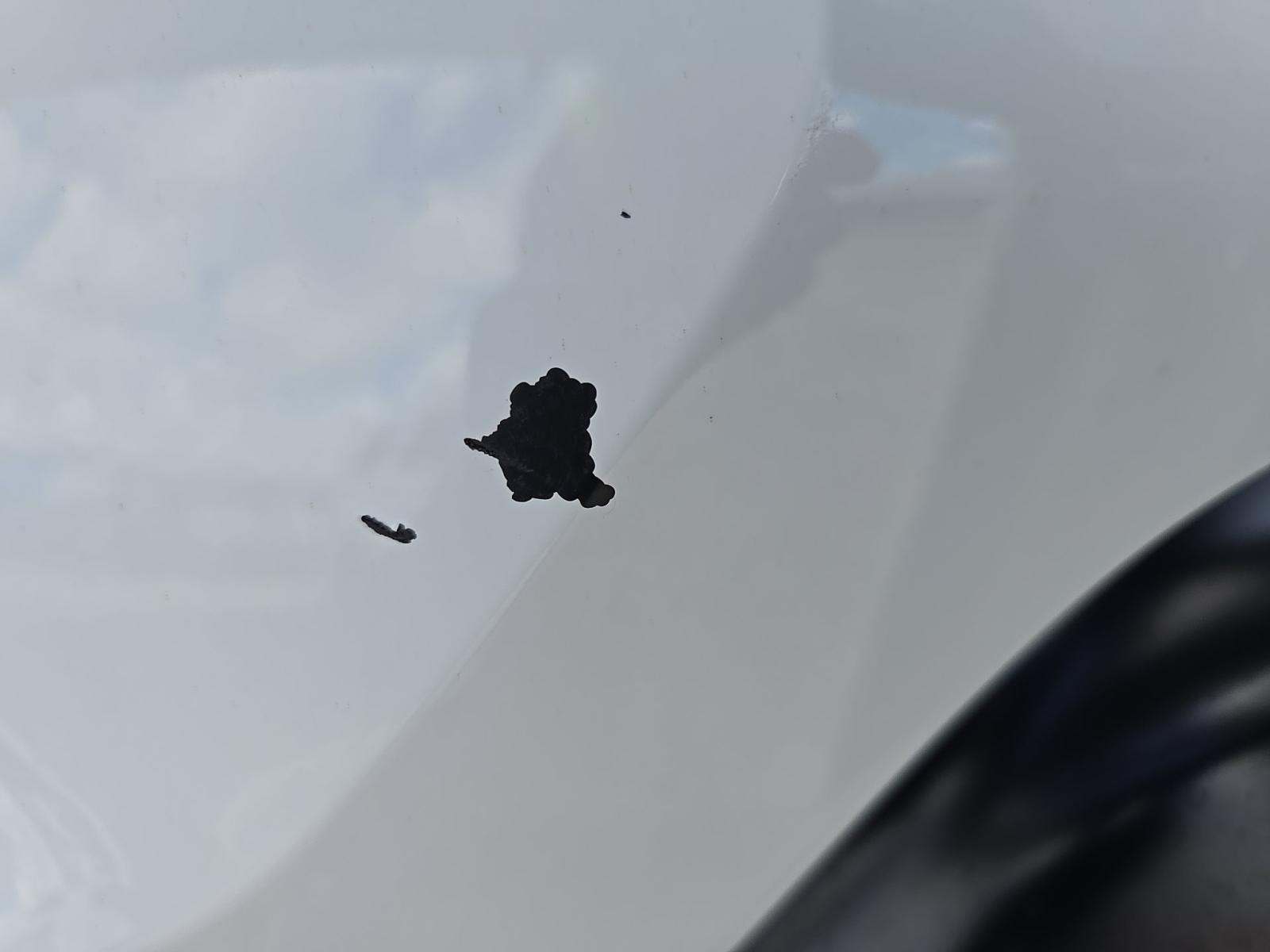 2024 Chevrolet Silverado 1500 Work Truck AWD