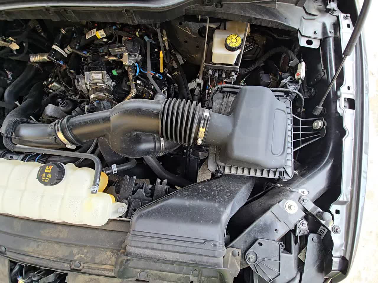 2024 Ford F-150 XLT RWD