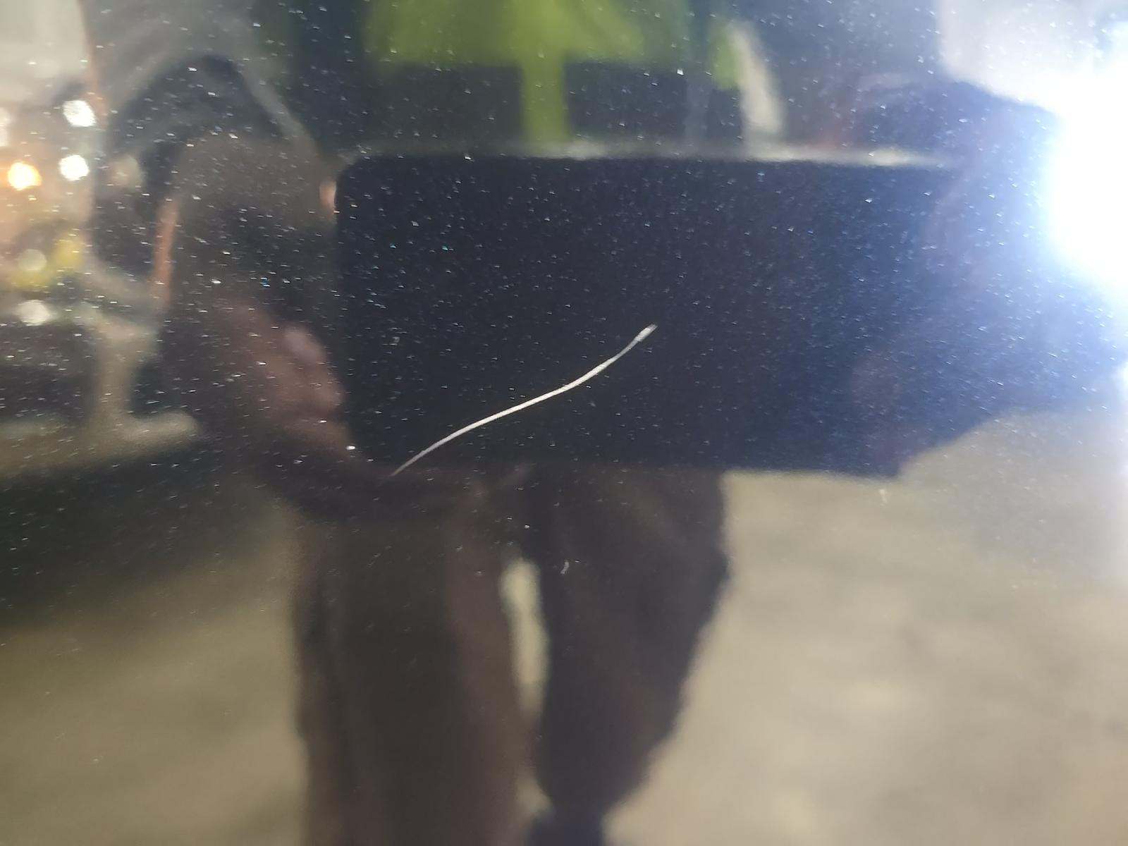 2023 Ford F-150 XL RWD