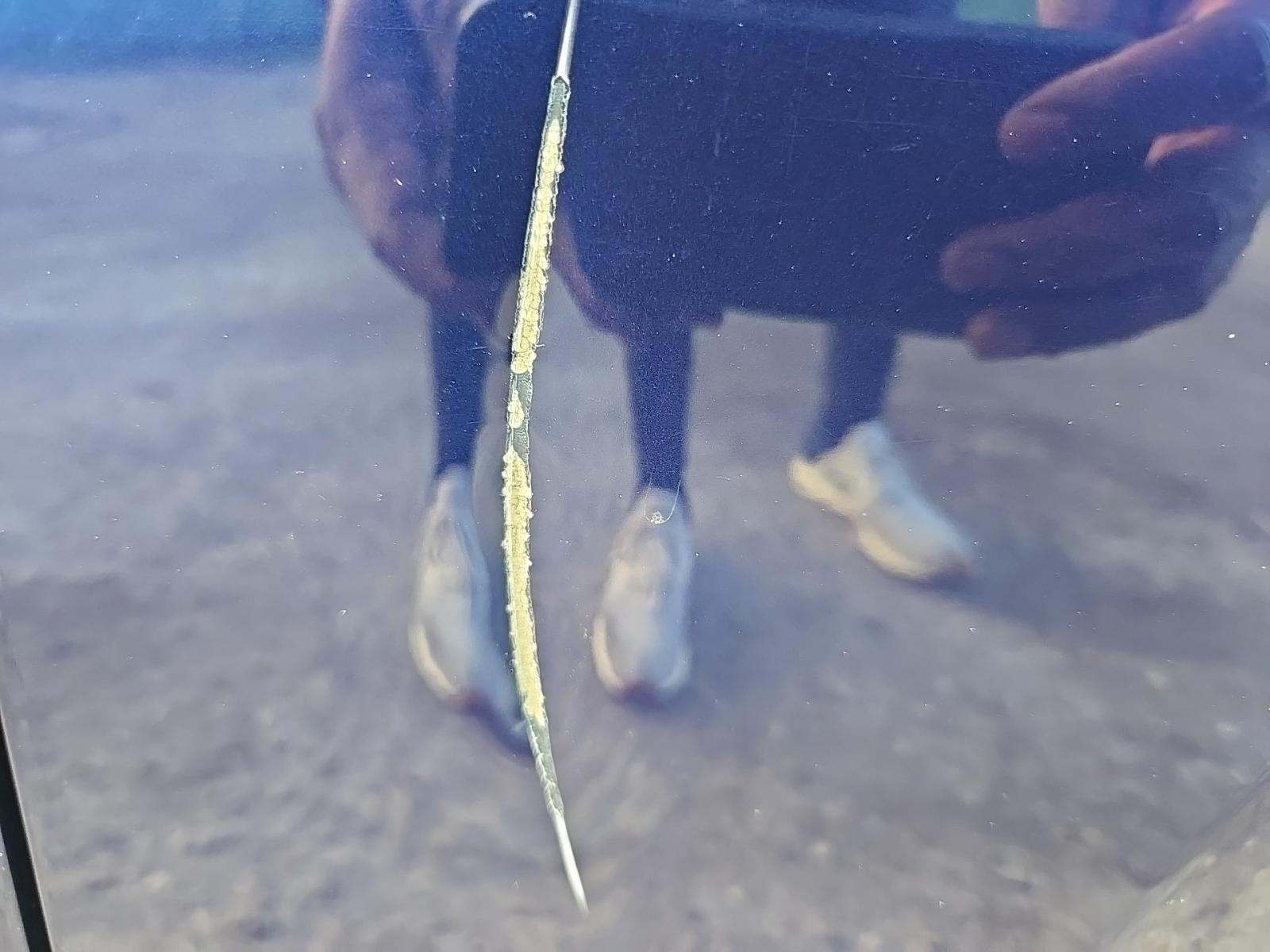 2023 Audi A4 S line Premium Plus AWD