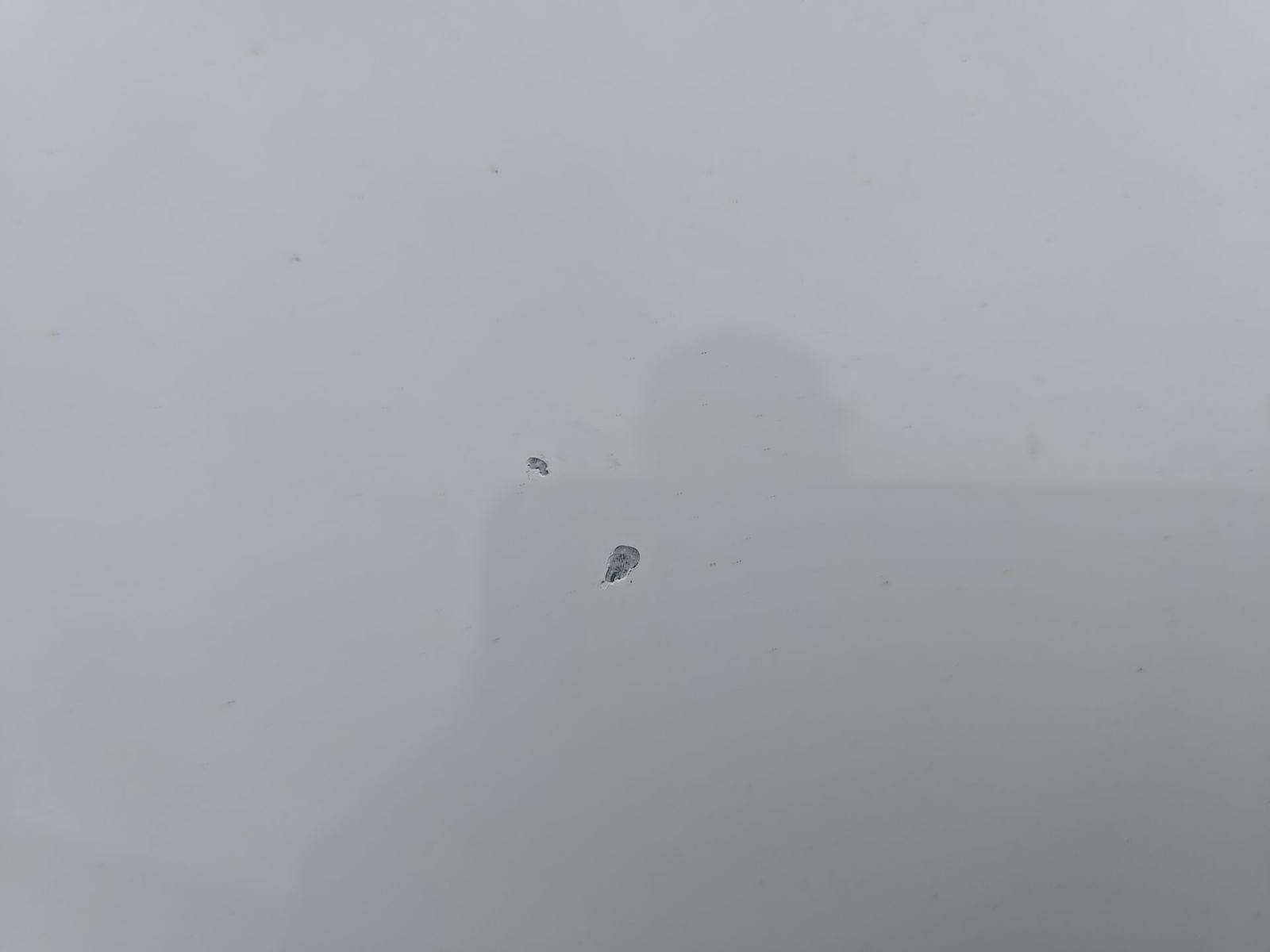 2023 Audi A4 S line Premium Plus AWD