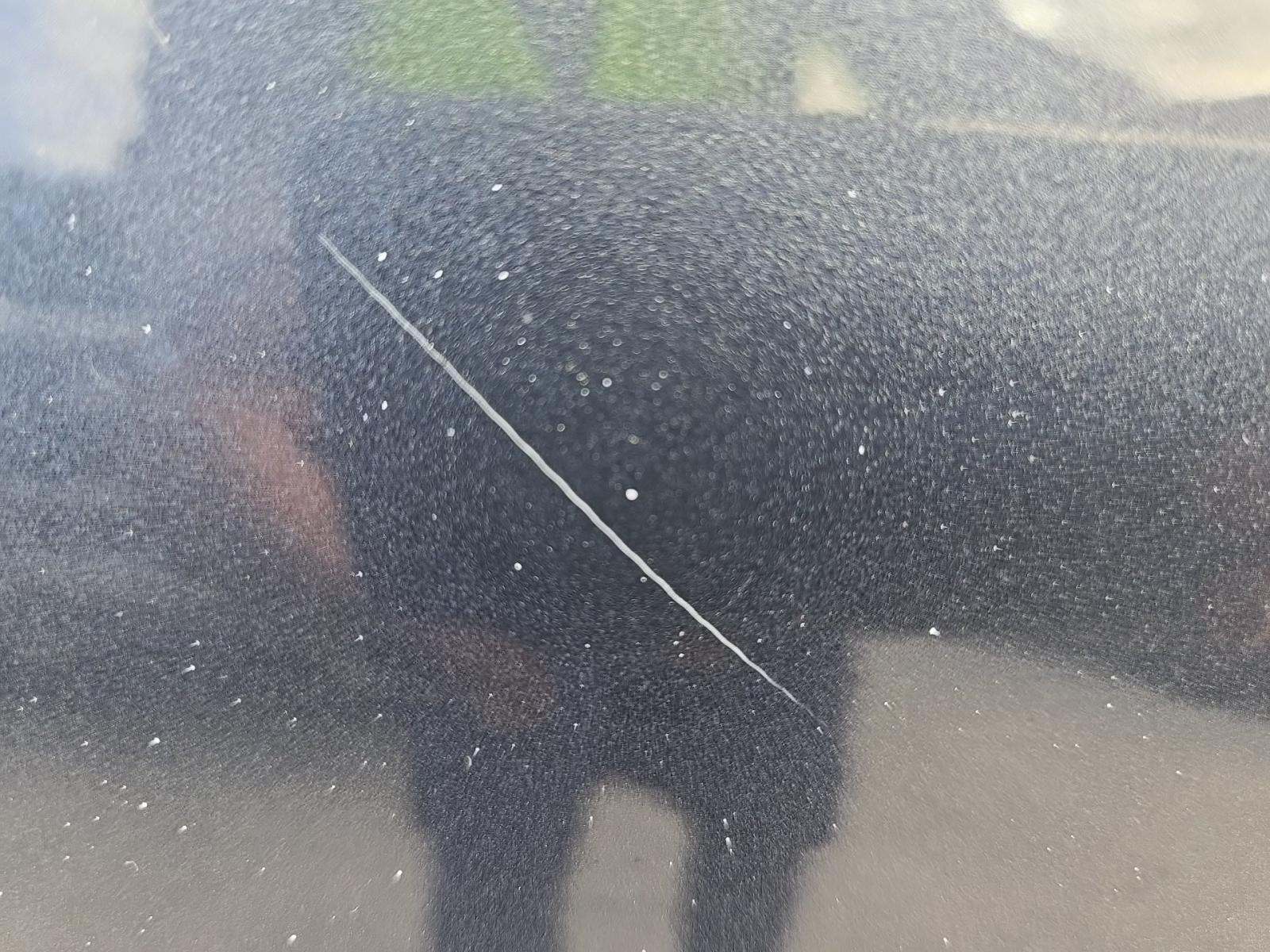 2024 Honda Accord LX FWD