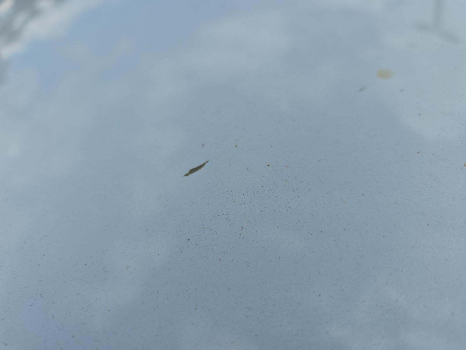 2022 Honda Accord Sport FWD