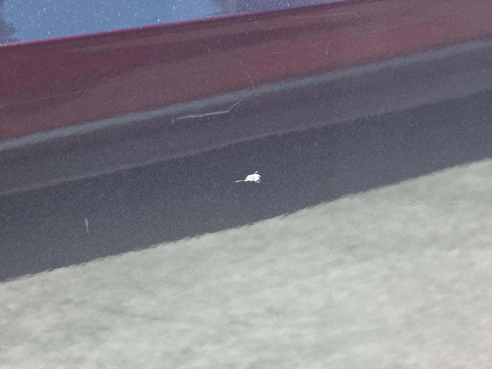 2019 BMW X5 xDrive40i AWD