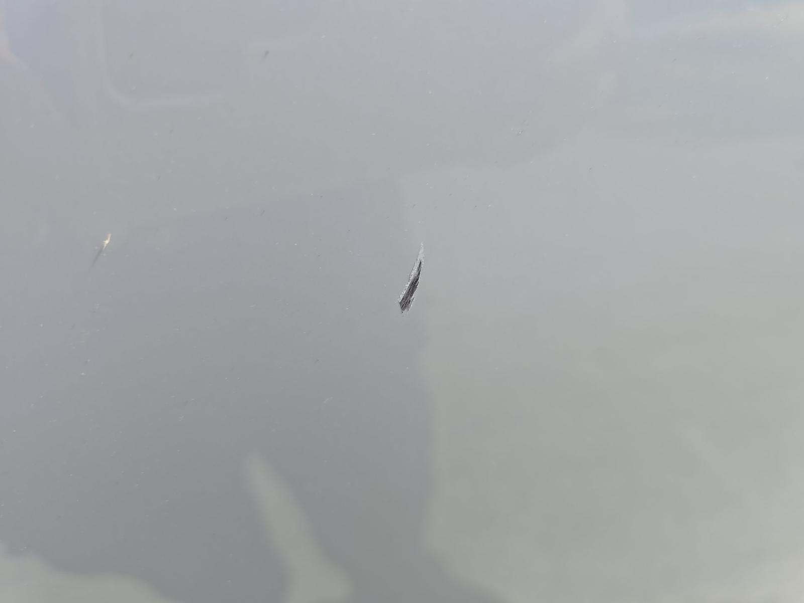 2020 BMW X7 xDrive40i AWD