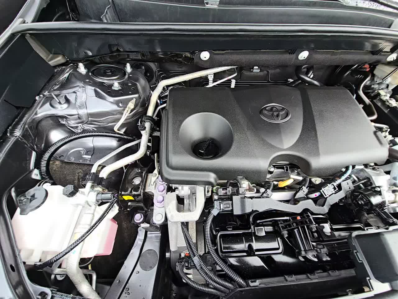 2023 Toyota RAV4 LE FWD