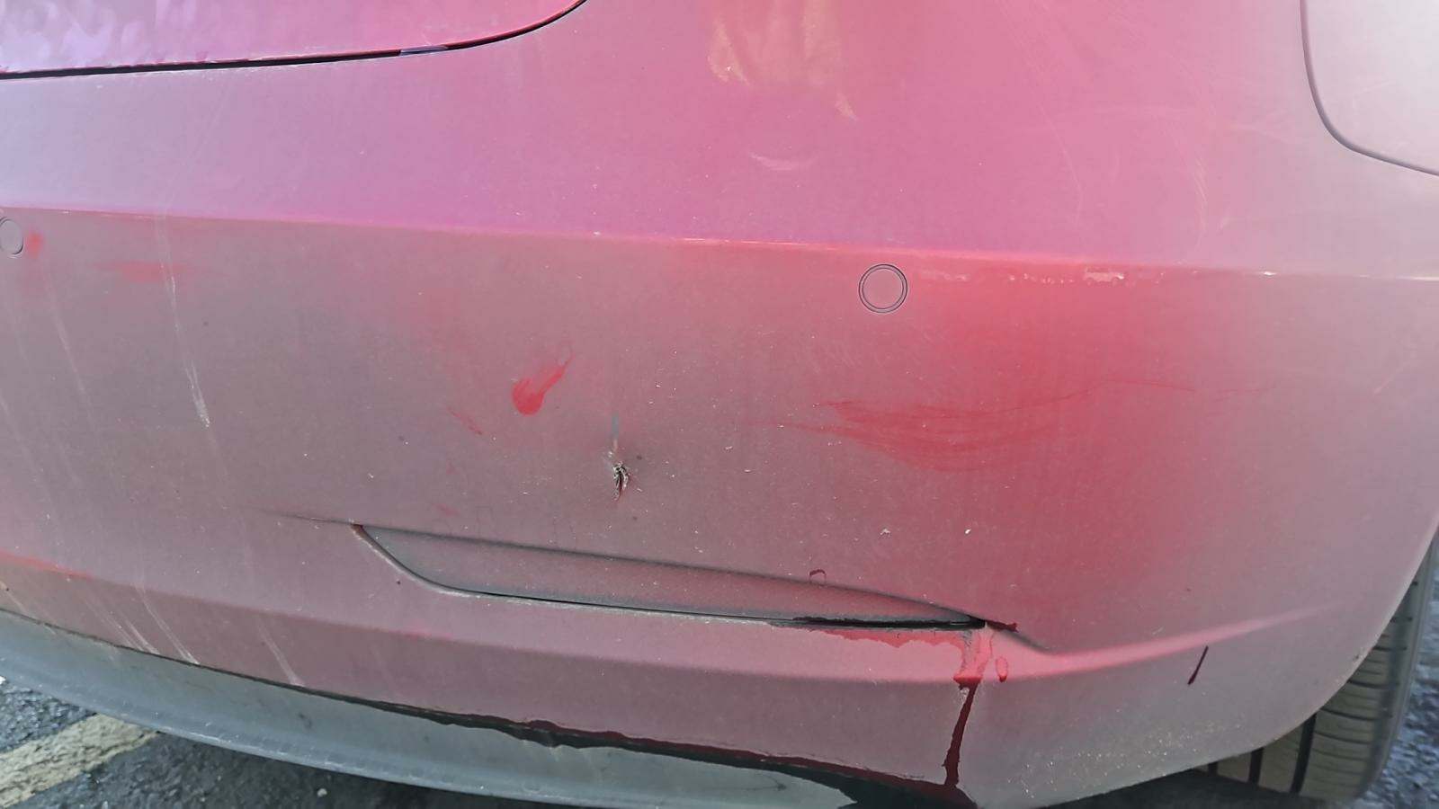 2020 Tesla Model 3 Standard Range Plus RWD