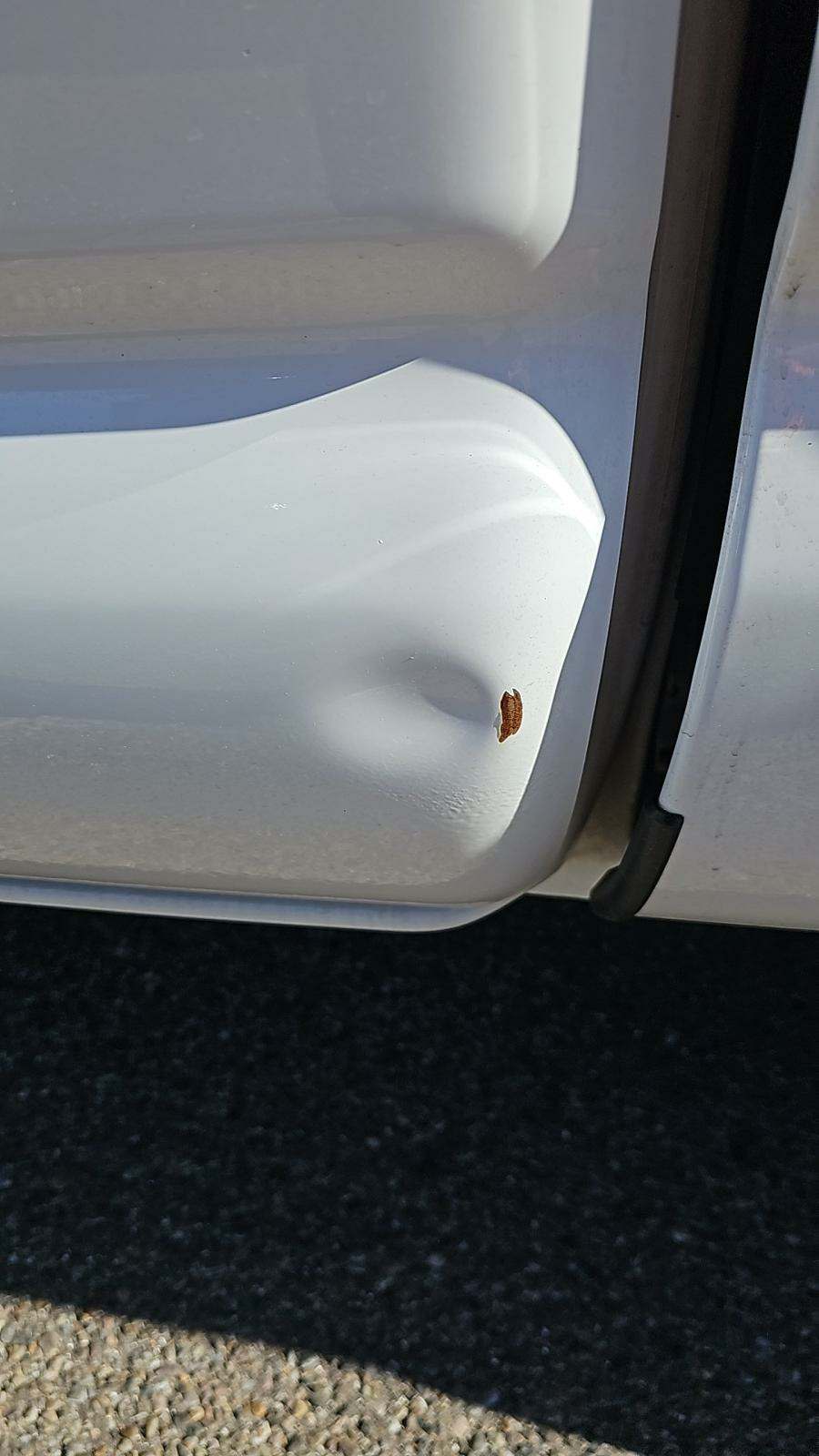 2017 Toyota Tacoma SR RWD