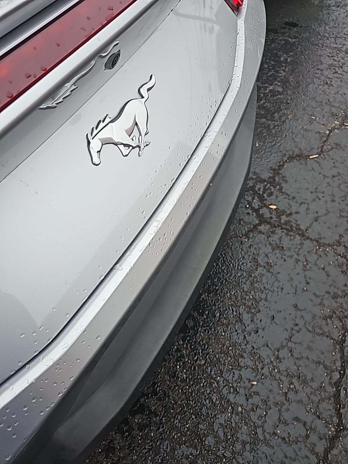 2024 Ford Mustang EcoBoost Premium RWD