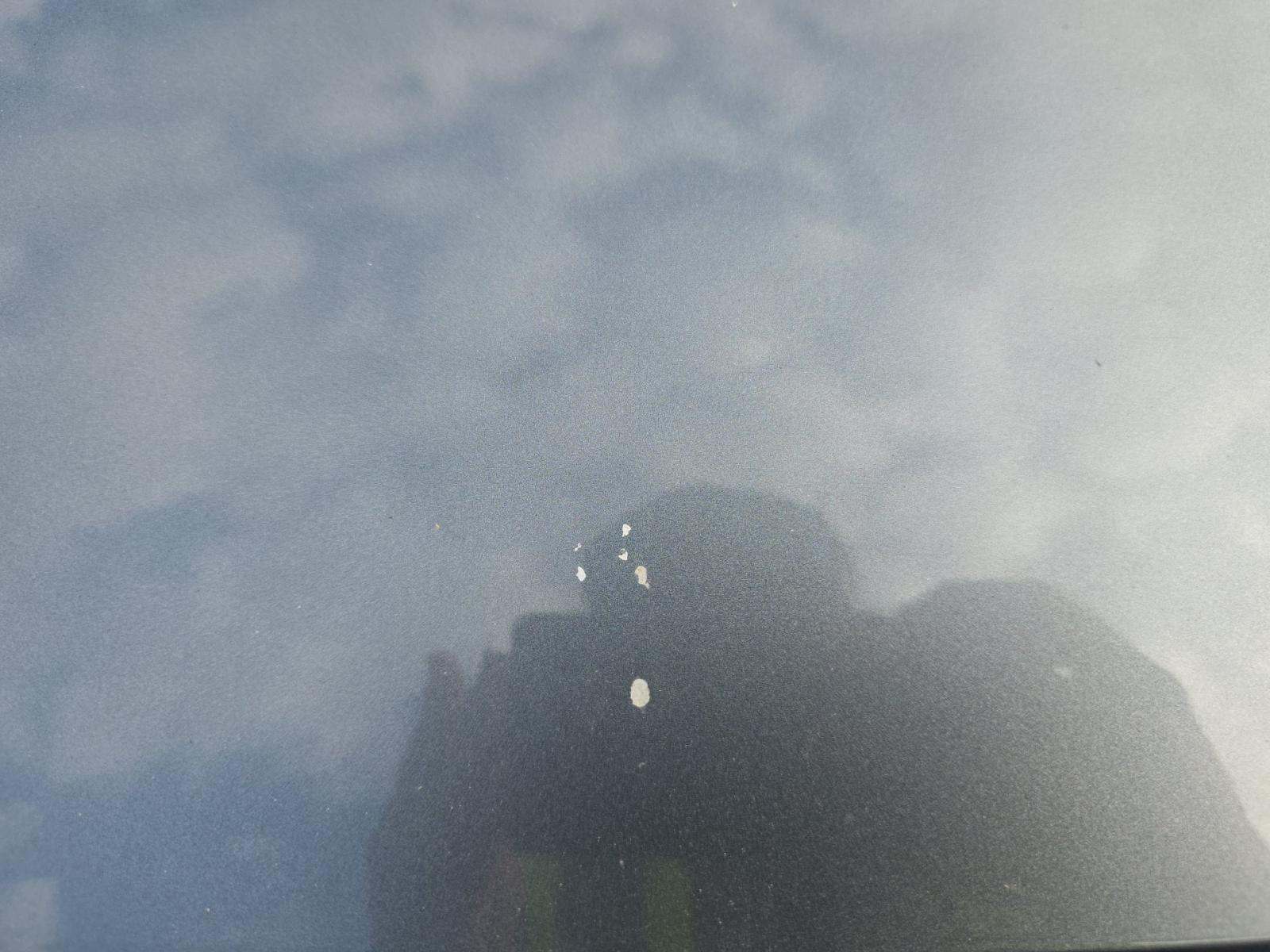 2019 Mercedes-Benz C-Class C 300 RWD