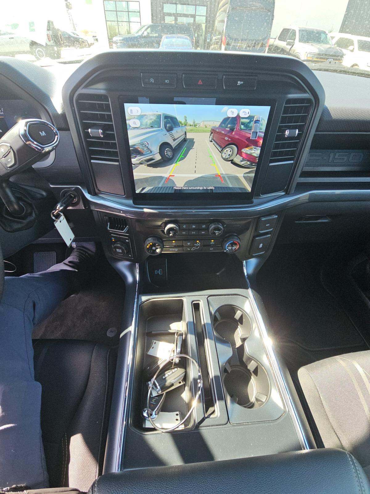FORD F-150 - 10