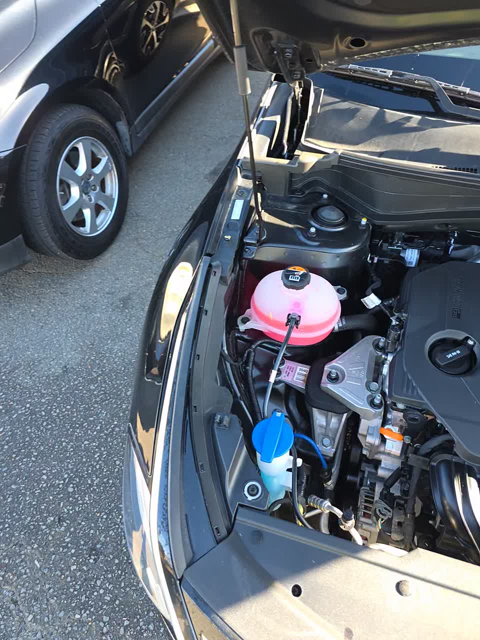 2023 Kia Sportage EX FWD