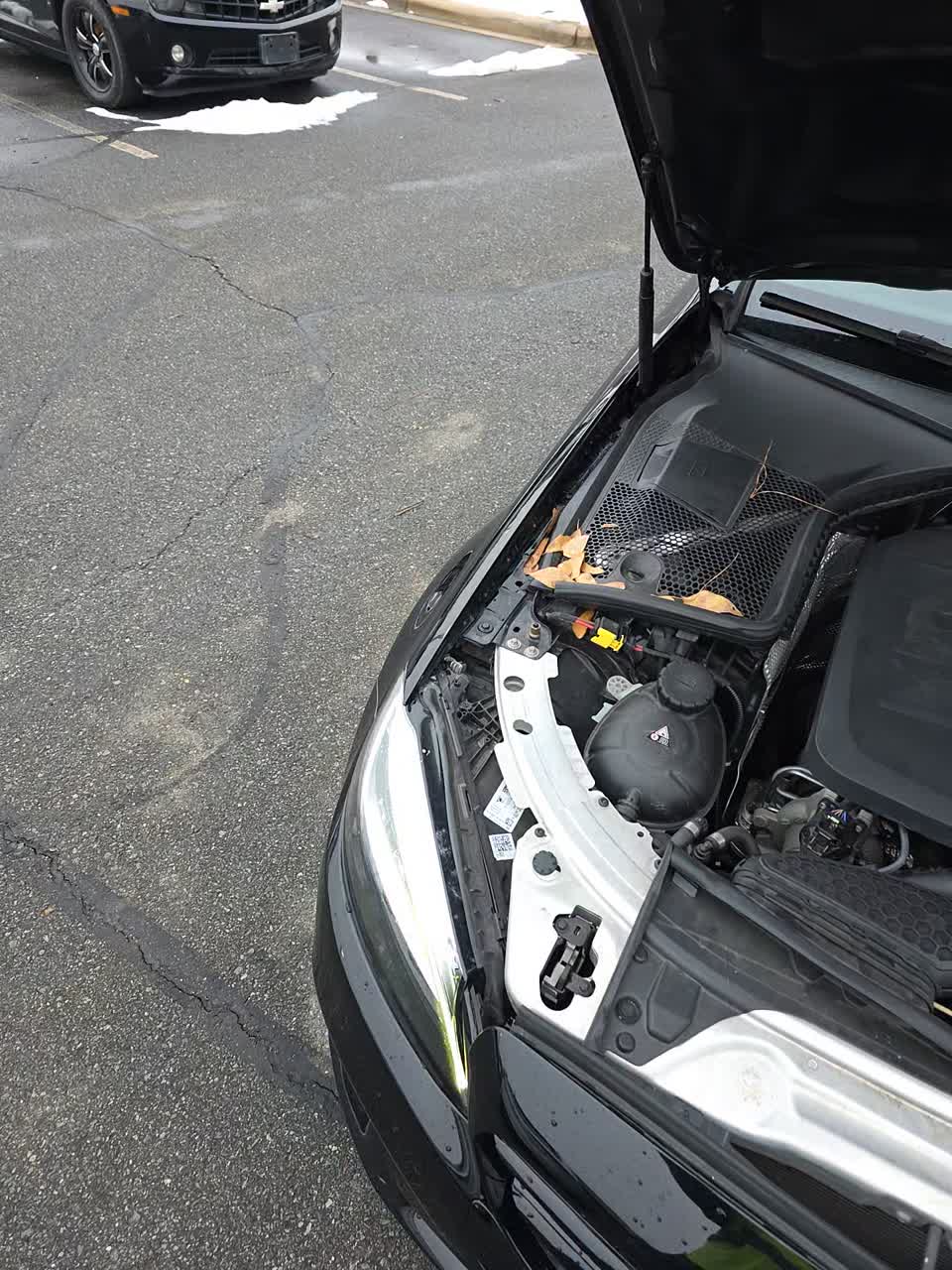 2019 Mercedes-Benz C-Class C 300 RWD