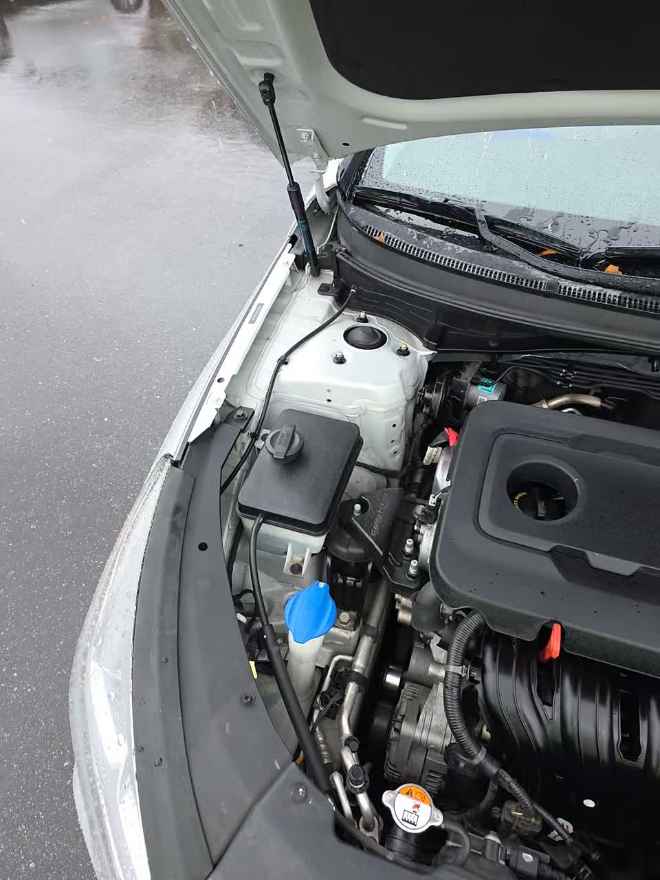 2019 Hyundai Sonata SE FWD