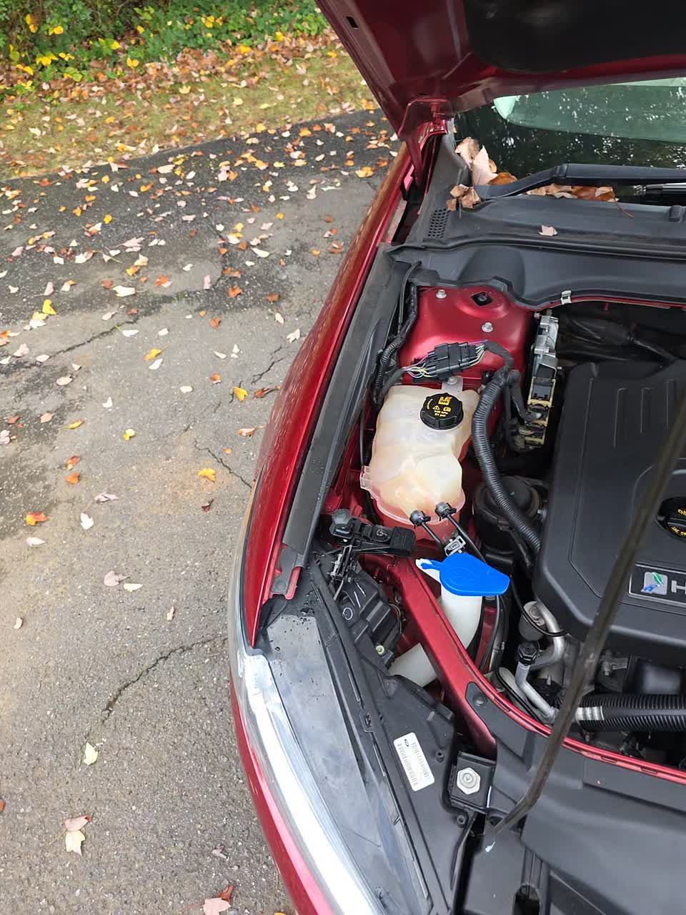 2015 Ford Fusion Hybrid Titanium FWD