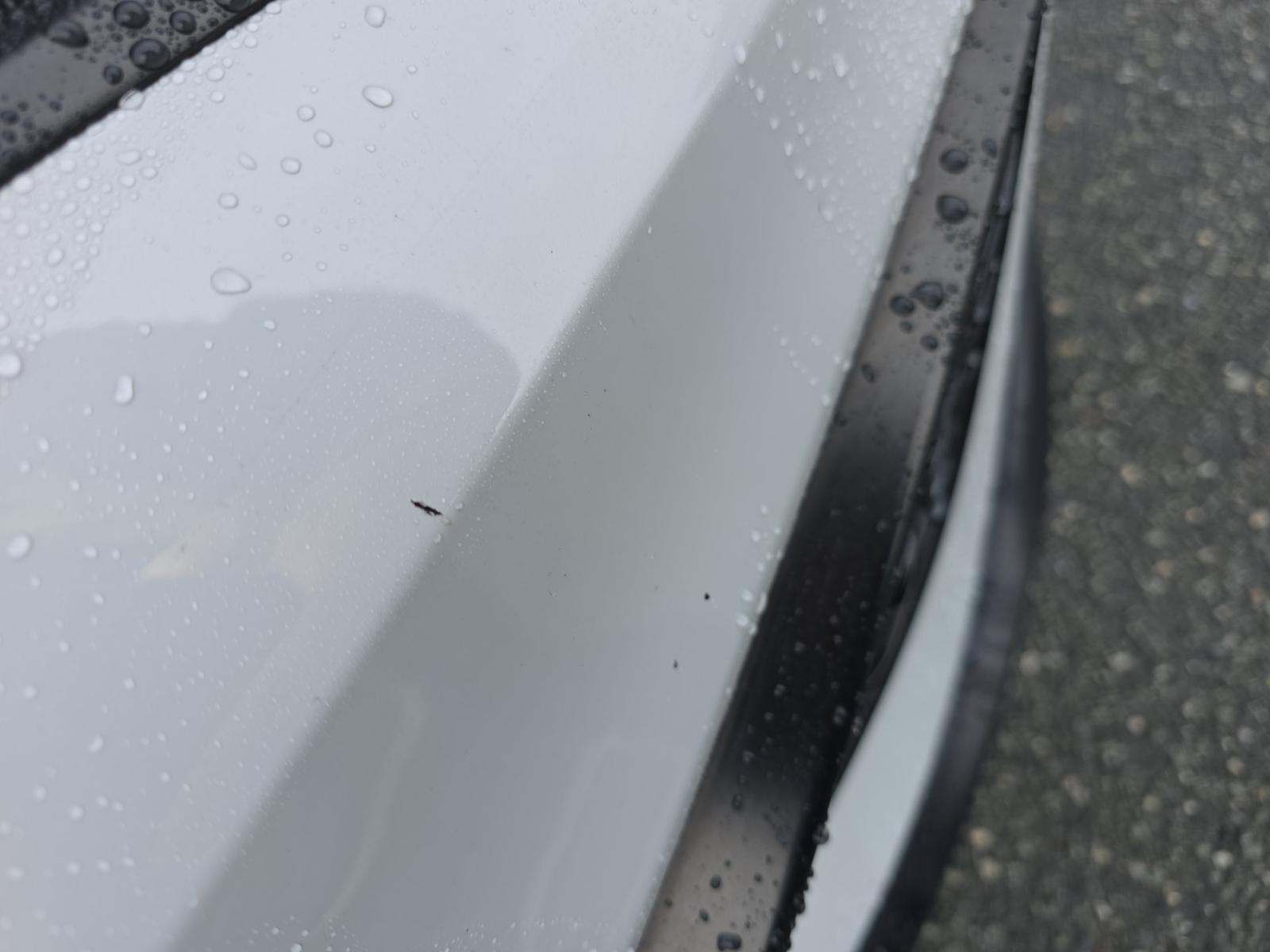 2023 Toyota Camry SE FWD