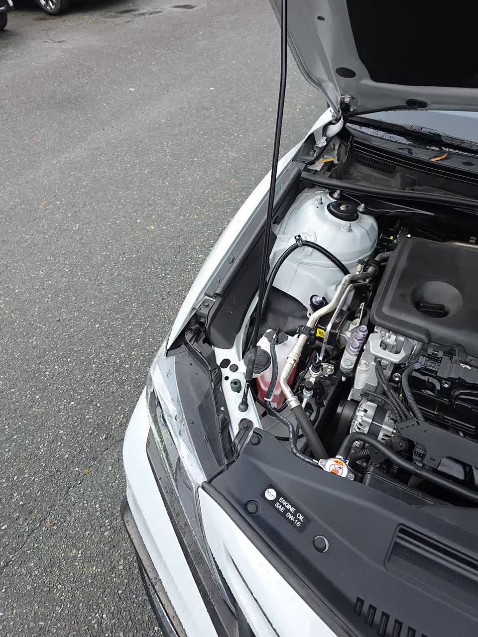 2023 Toyota Camry SE FWD