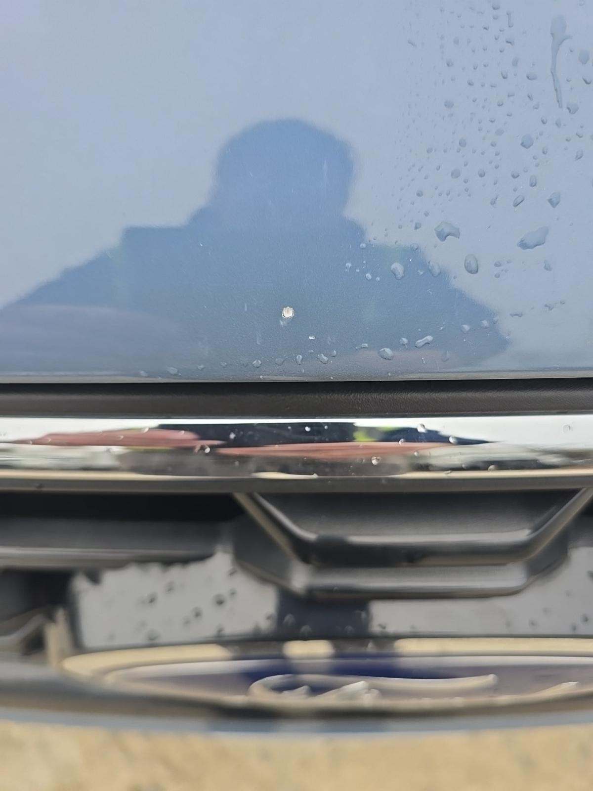 2025 Ford Escape ST-Line FWD