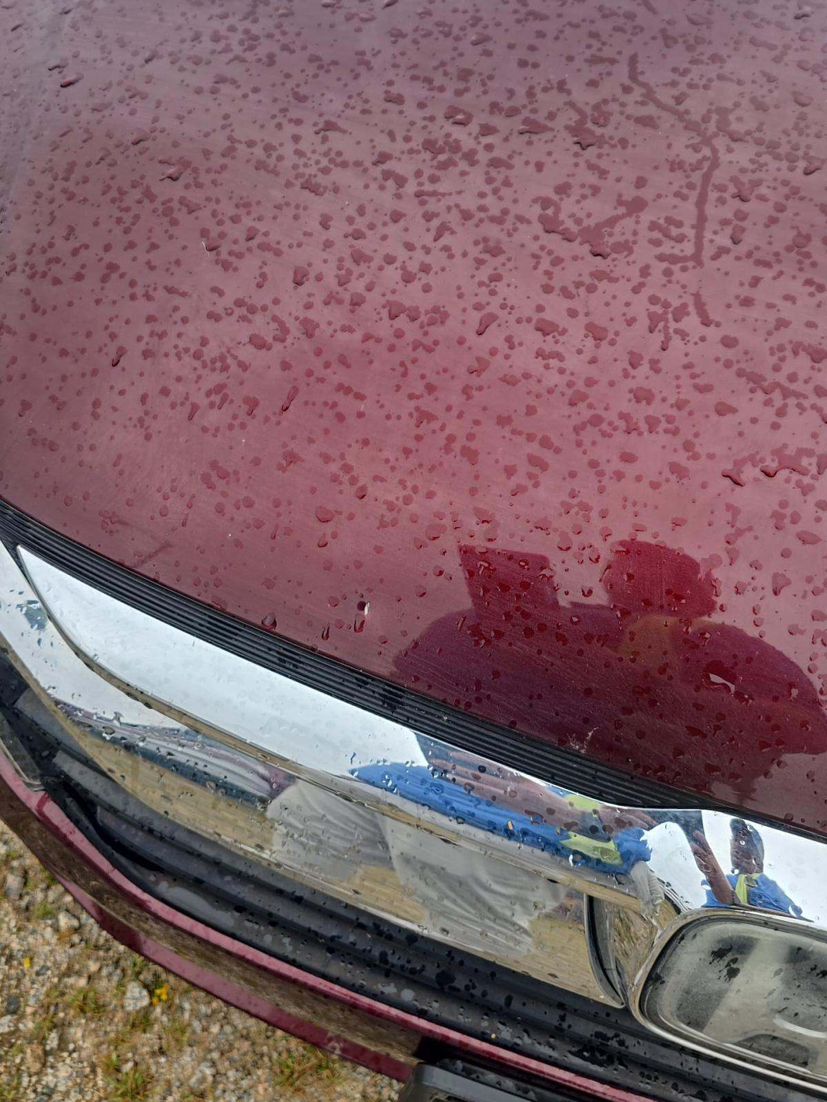 2019 Honda Odyssey EX-L FWD