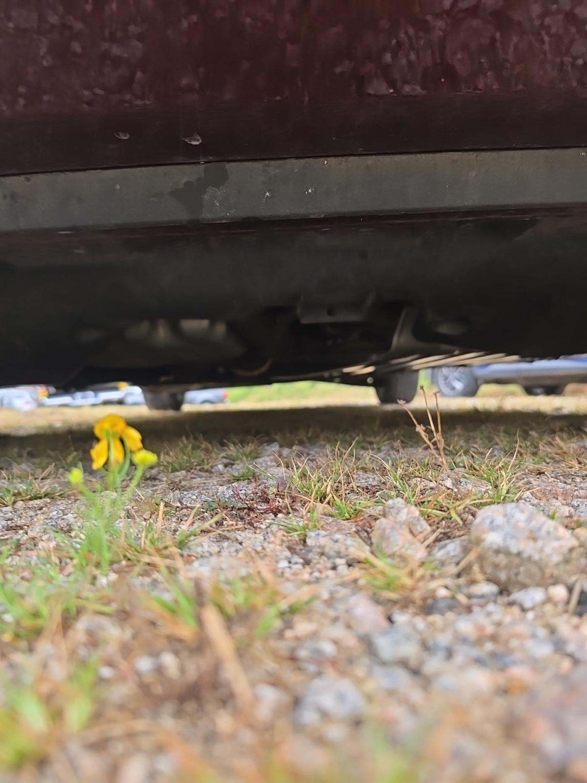 2019 Honda Odyssey EX-L FWD