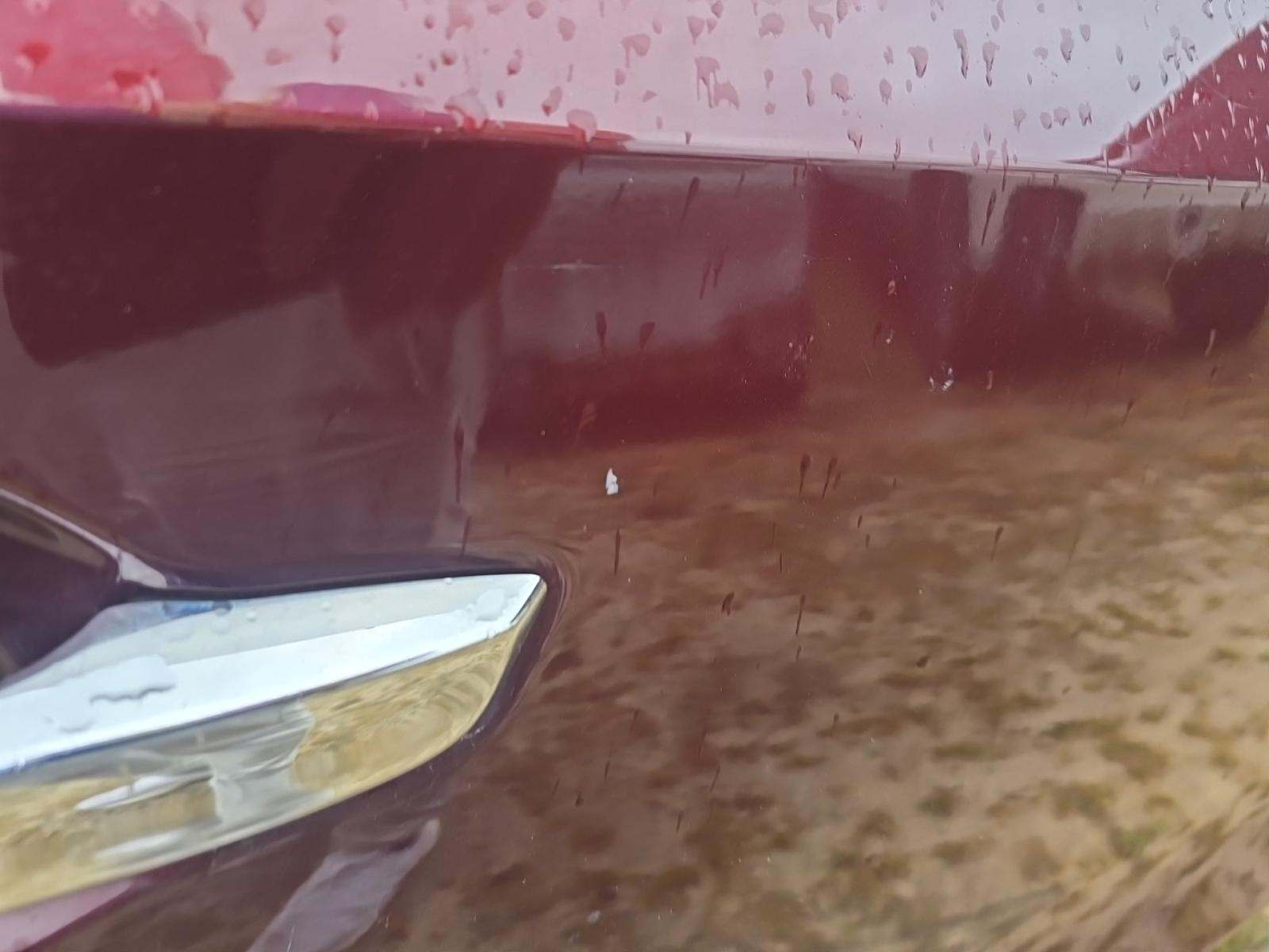 2019 Honda Odyssey EX-L FWD