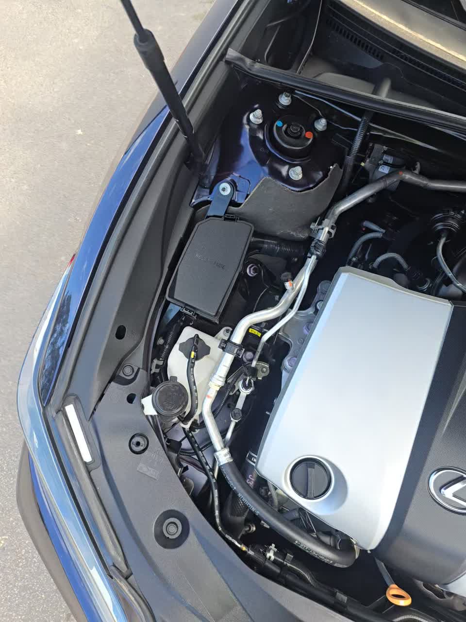 2019 Lexus ES ES 350 Luxury FWD