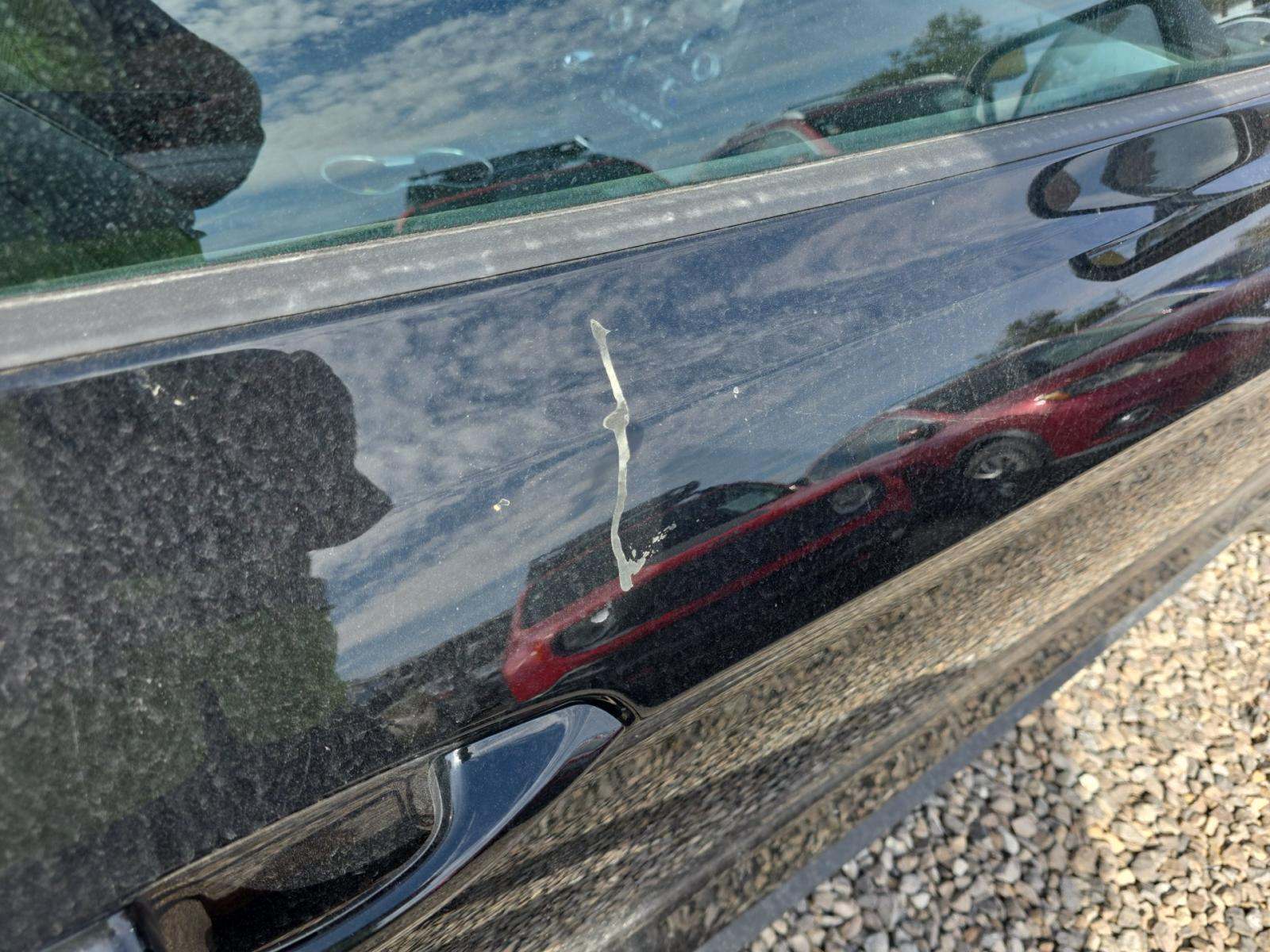 2023 Ford Mustang EcoBoost Premium RWD