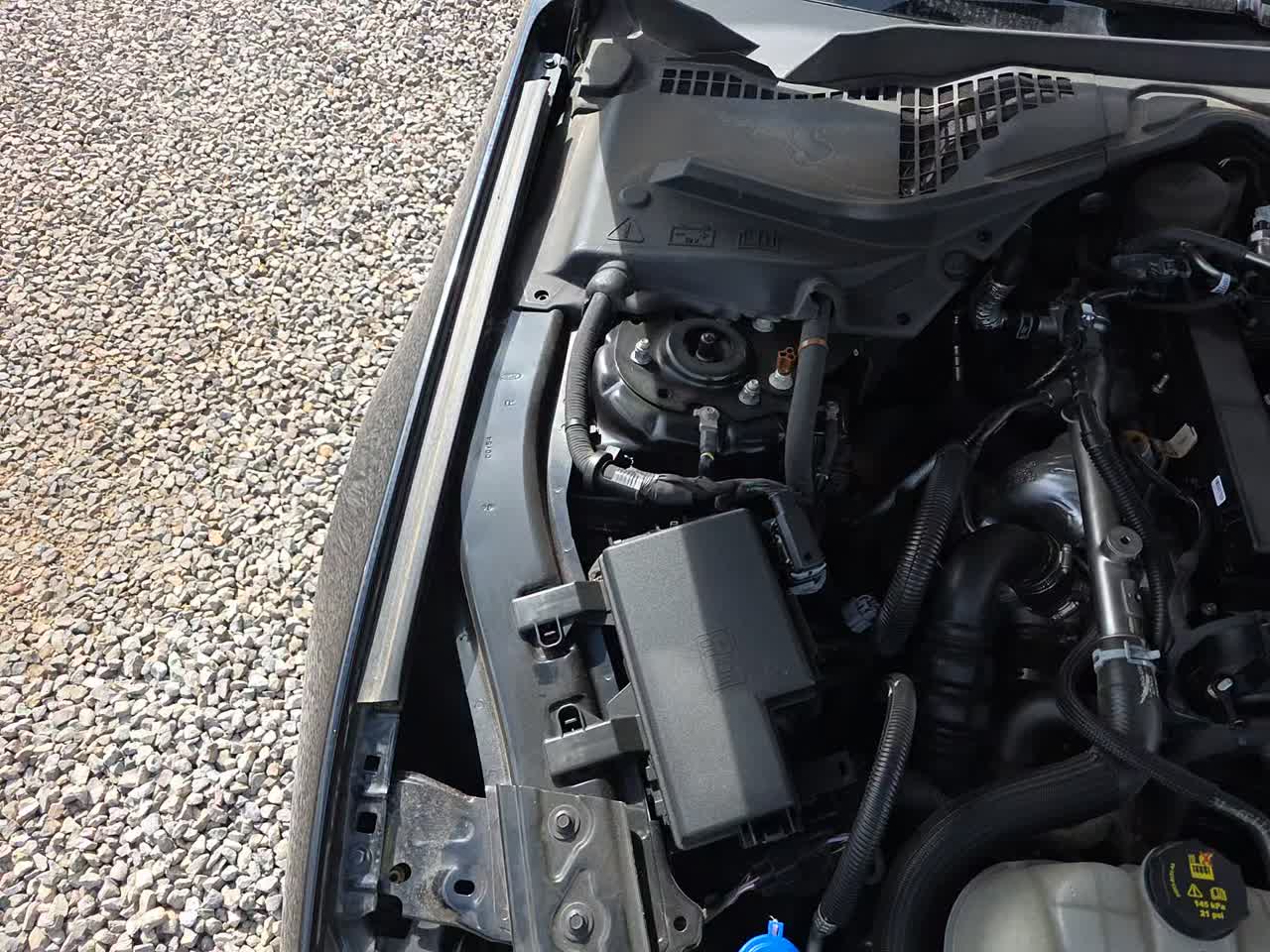 2023 Ford Mustang EcoBoost Premium RWD