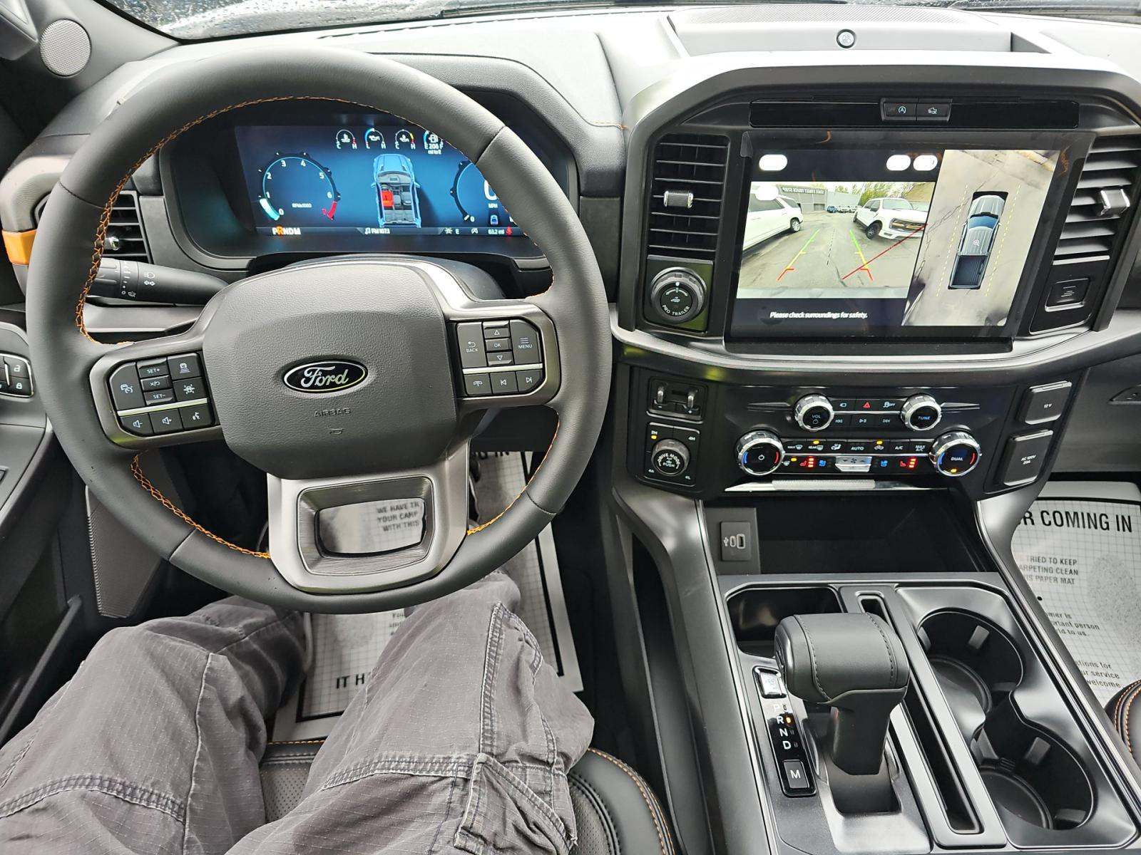 FORD F-150 - 10